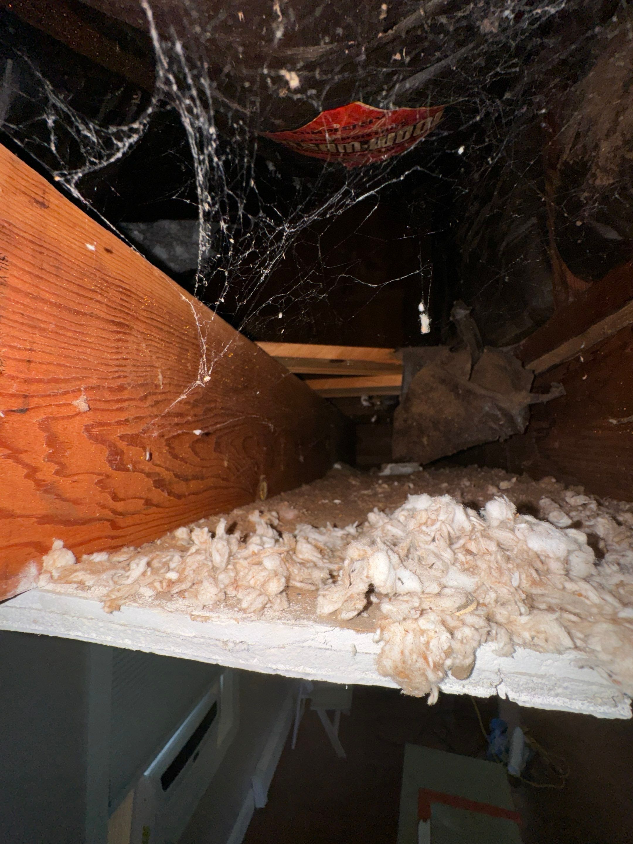 Bedroom Mold Remediation by Home Guarantee, LLC