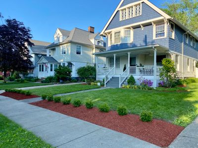 Christmas Hedge Install