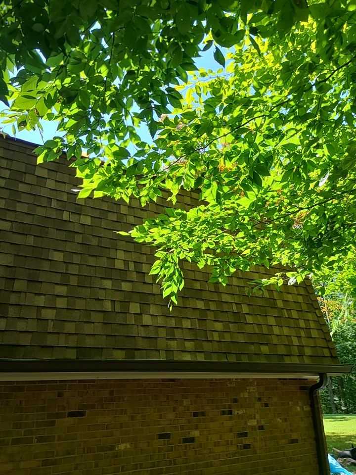 Fairfax Station: CertainTeed Landmark Pro Designer Shingles in Max Def Resawn Shake by RM Banning, Inc.