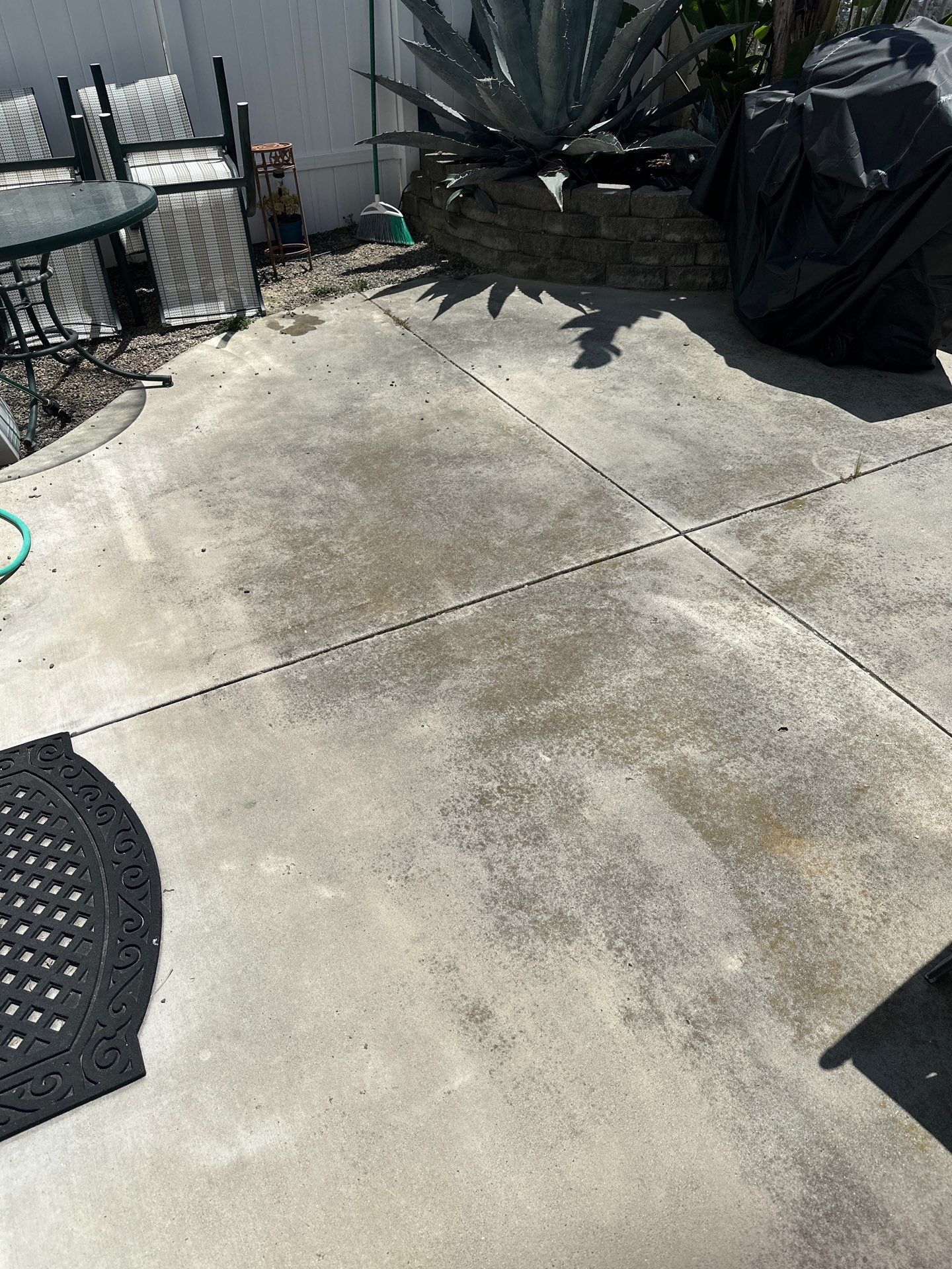 This home was COVERED in growth by Property Cleaning Experts, LLC