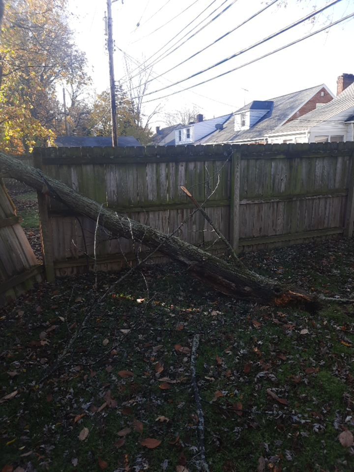 Tree Removal using Tree Removal by Mike Jones & Sons Tree Service LLC 
