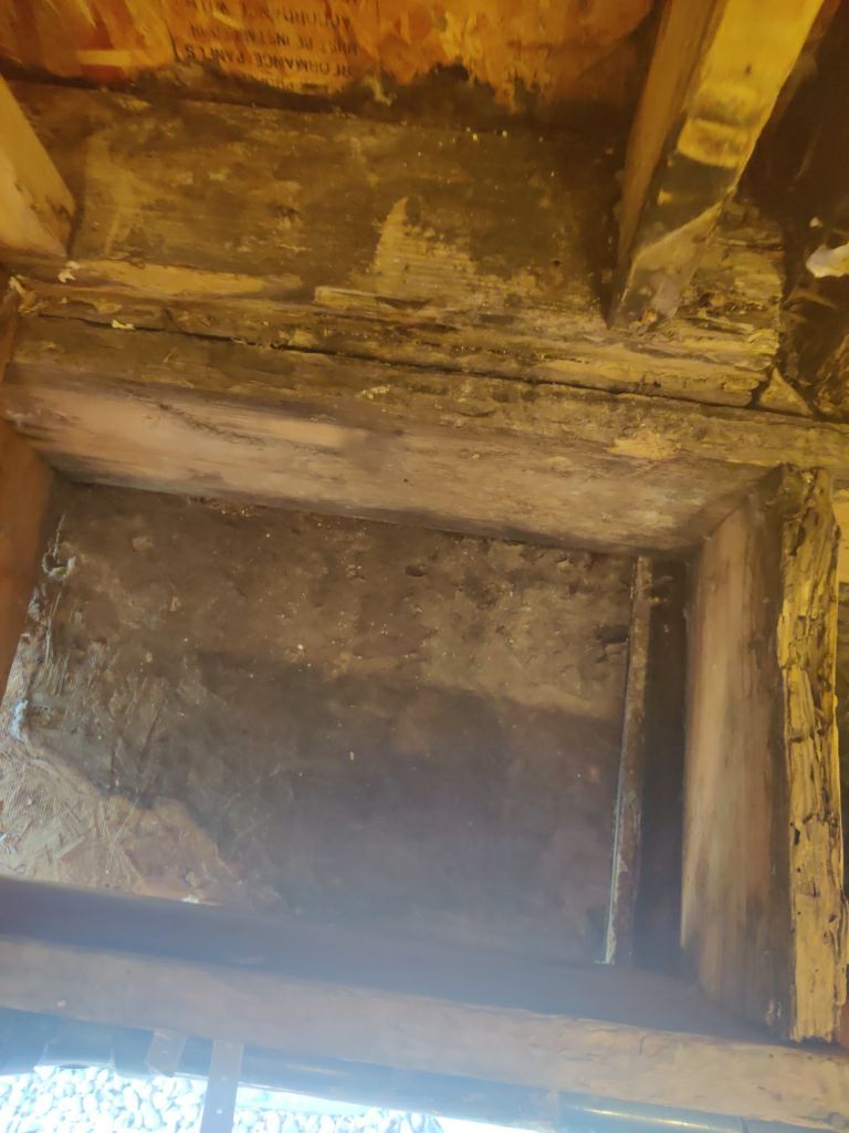 Mold Remediation in Bathroom by Accountable Home Services