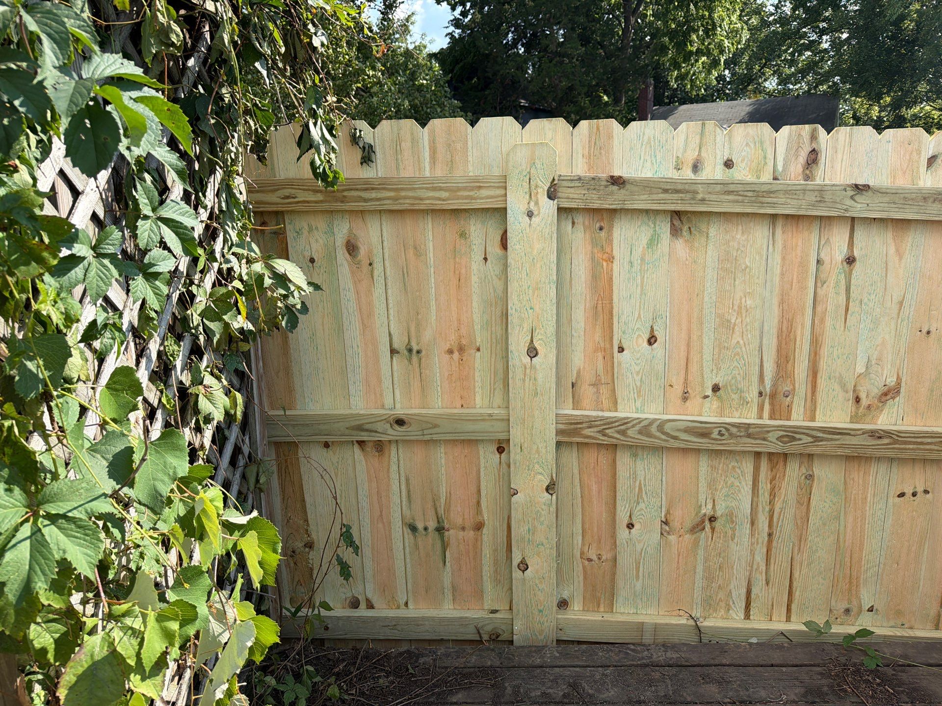 New Treated Wood Privacy Fence and Metal-Framed Gates by Perfect Picket Fence and Stain