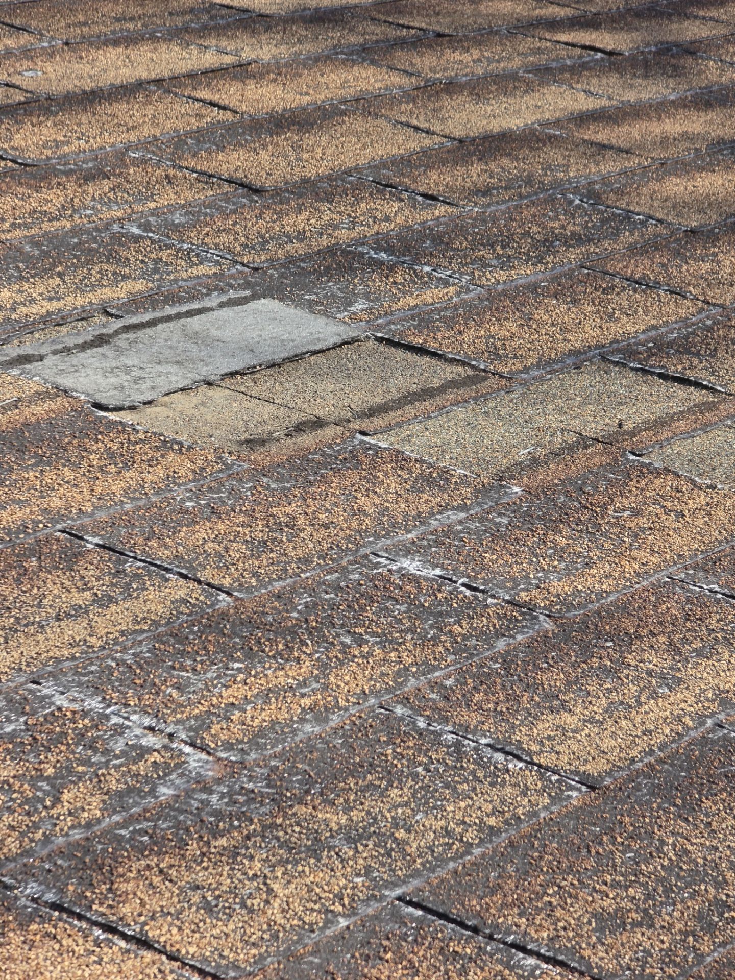 Roof Rejuvenation using Roof Maxx Treatment by Roof Maxx of Folsom