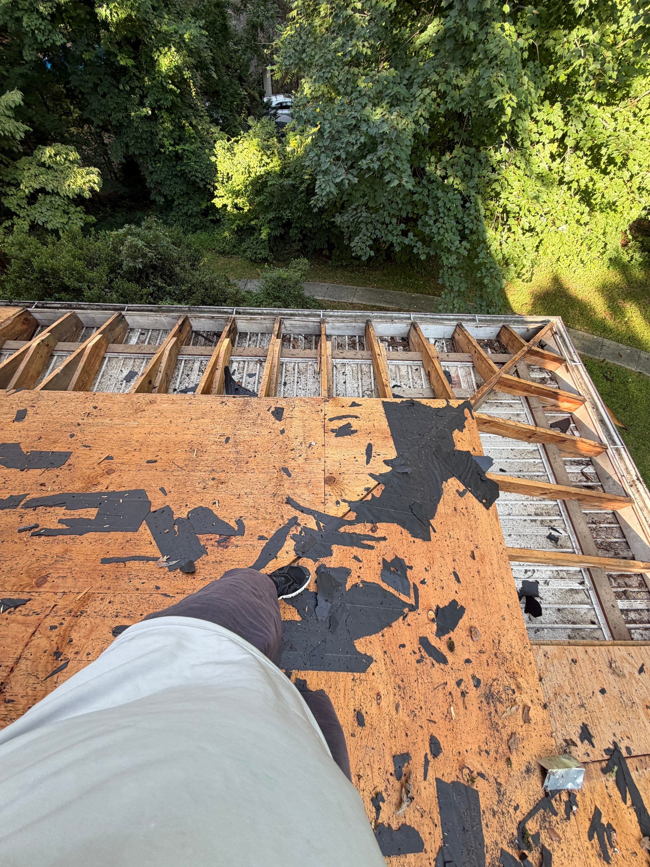 Comprehensive Architectural Shingle Roof Replacement and Skylight Installation in Laurel by First Chesapeake Roofing