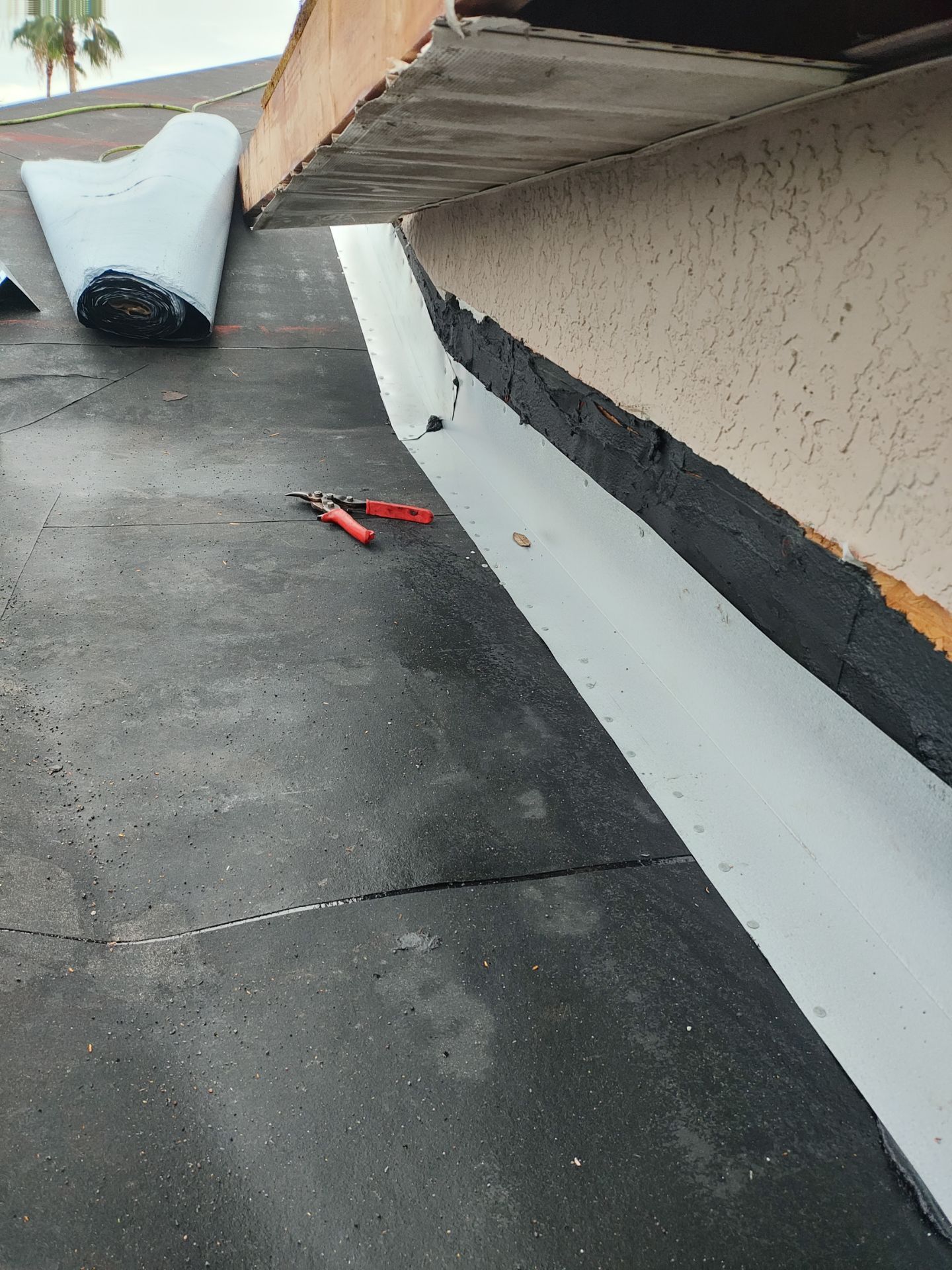 Roof Replacement in Lithia, FL by Shingle Masters Roofing