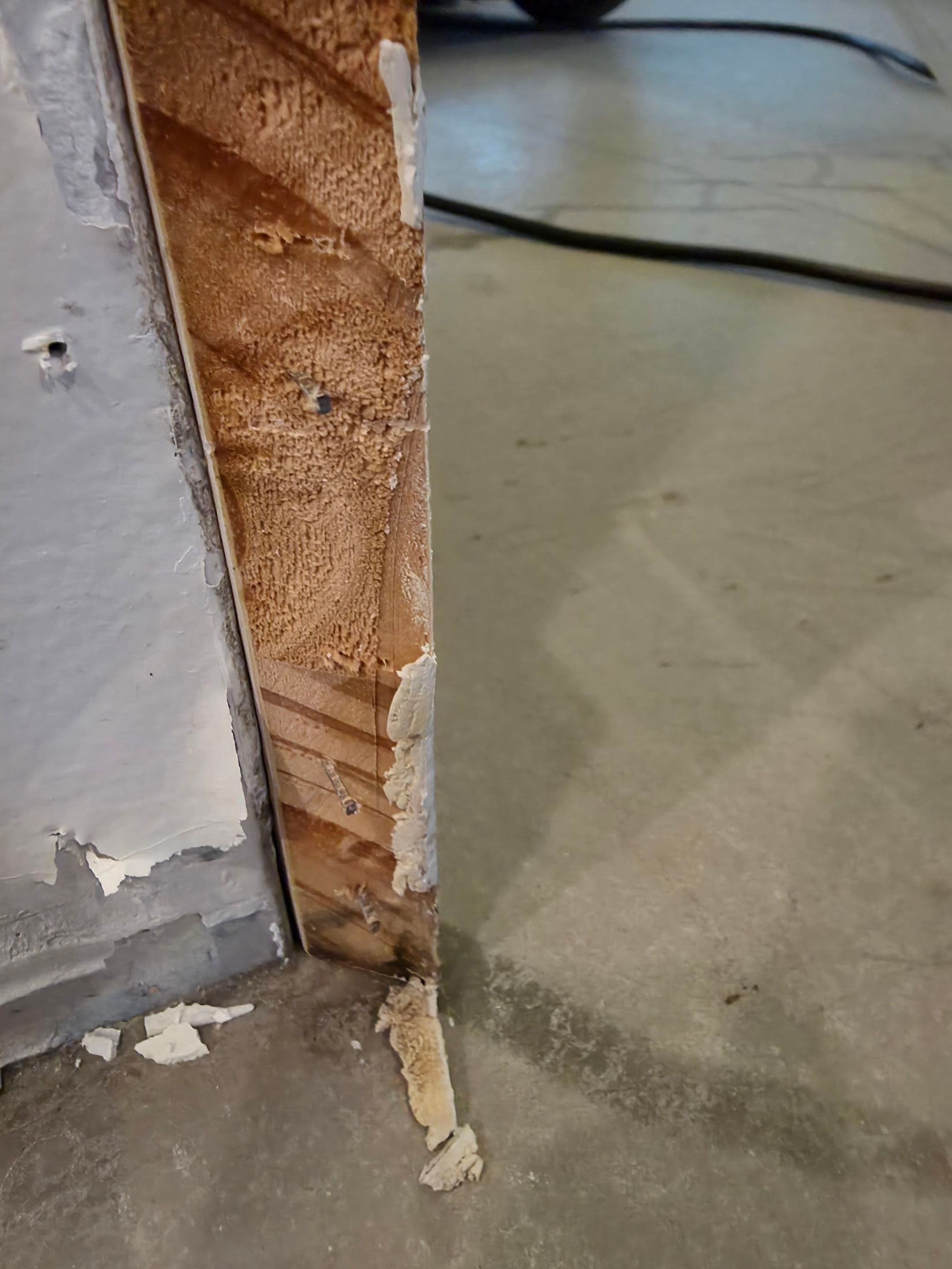 Anna and Allan Branch  by Service Restoration