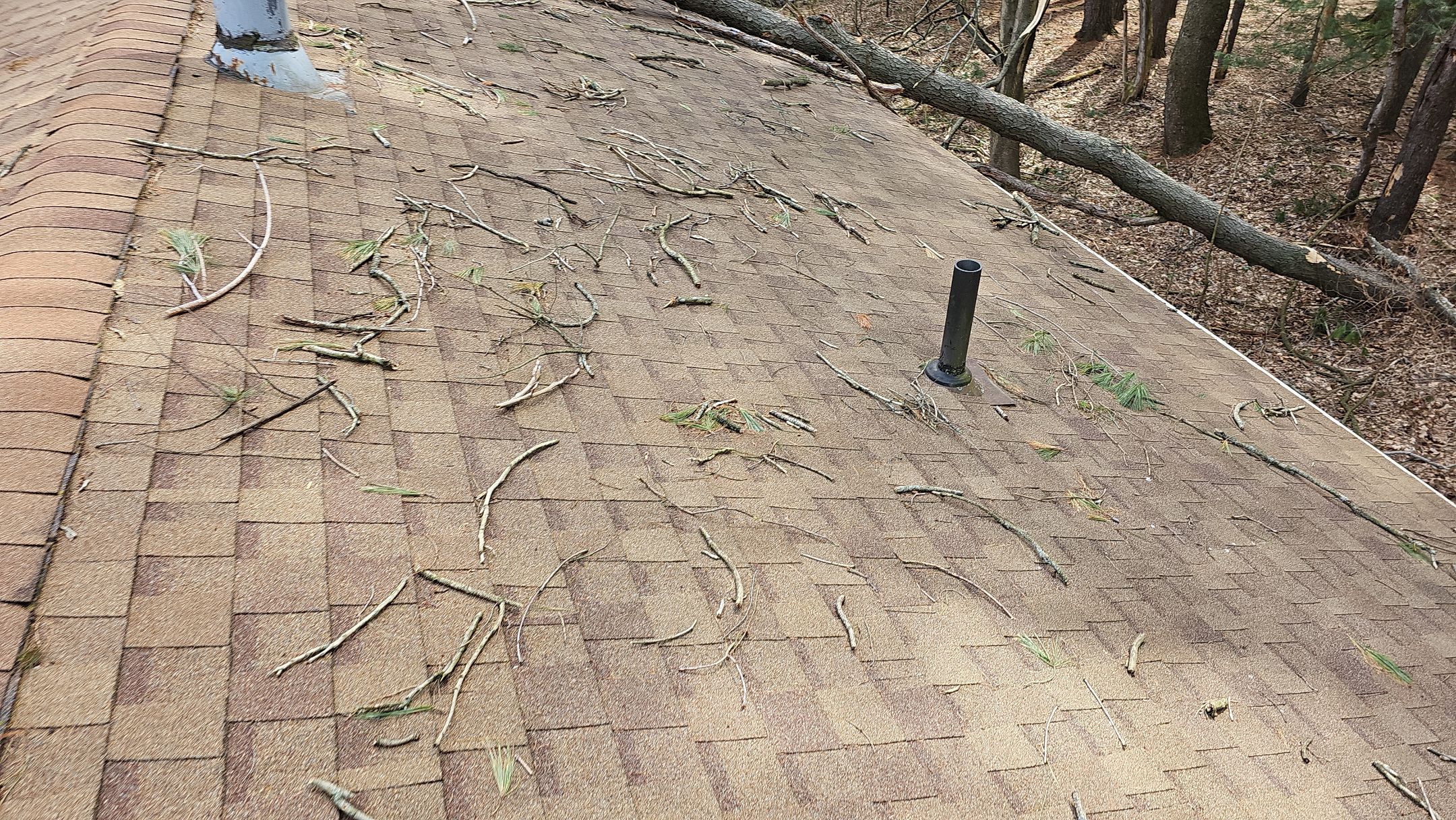 ATLAS PINNACLE COLOR: MORNING HARVEST by Eagle Eye Roofing