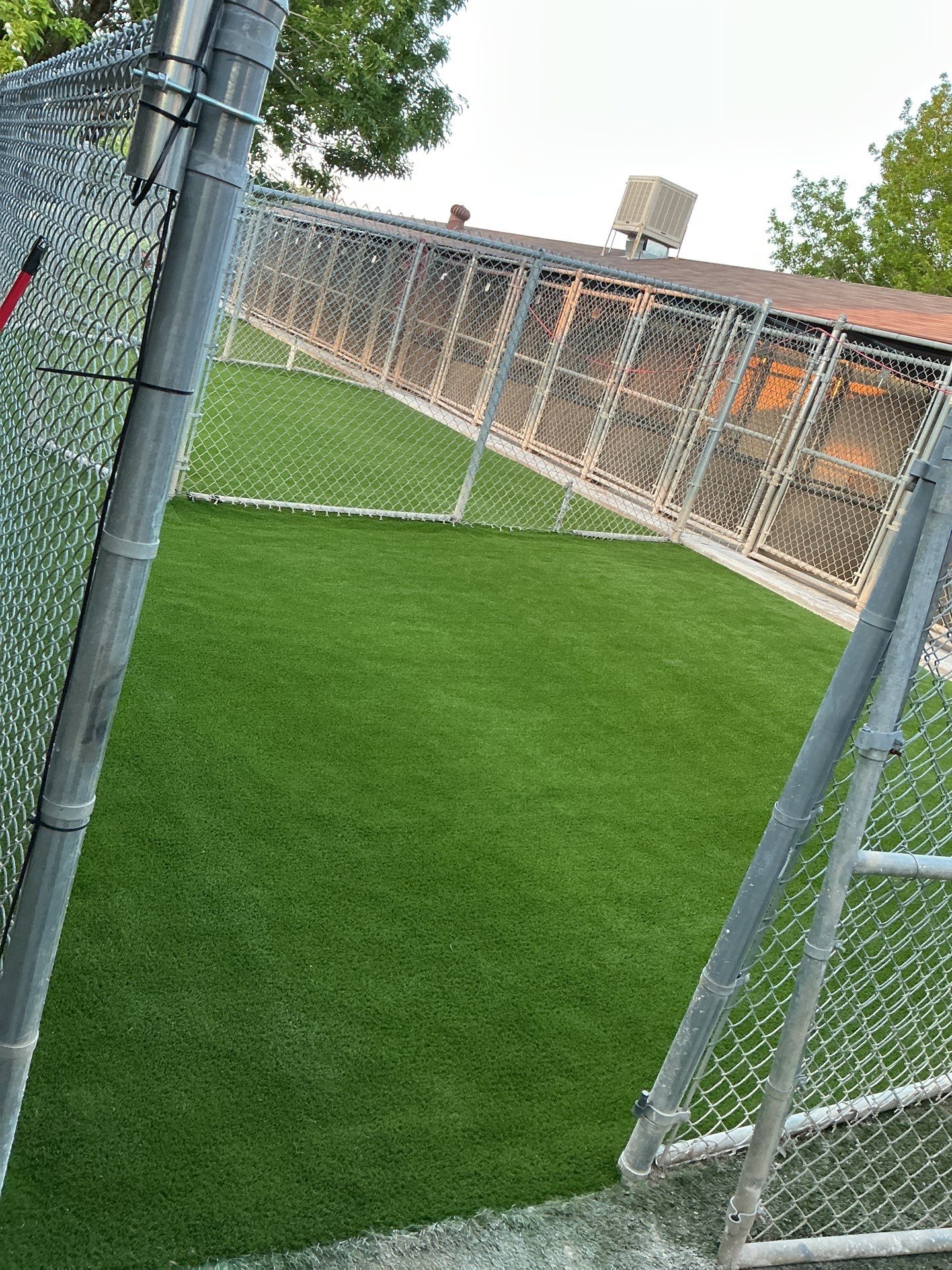 Synthetic Turf Installation using Pet Turf by Turf Concepts