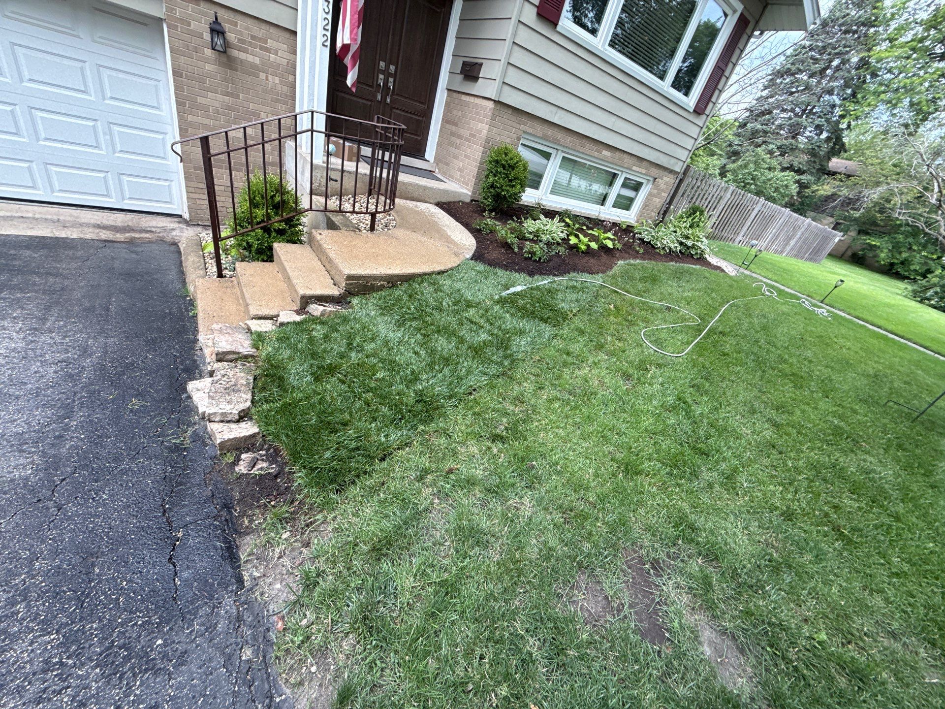 Amy N. - Arlington Heights, IL by A&N 