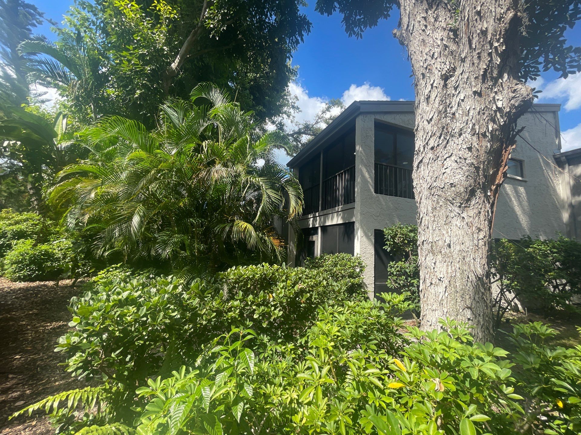 Clean Gutters and Roof in Sarasota FL by Gutter Professors