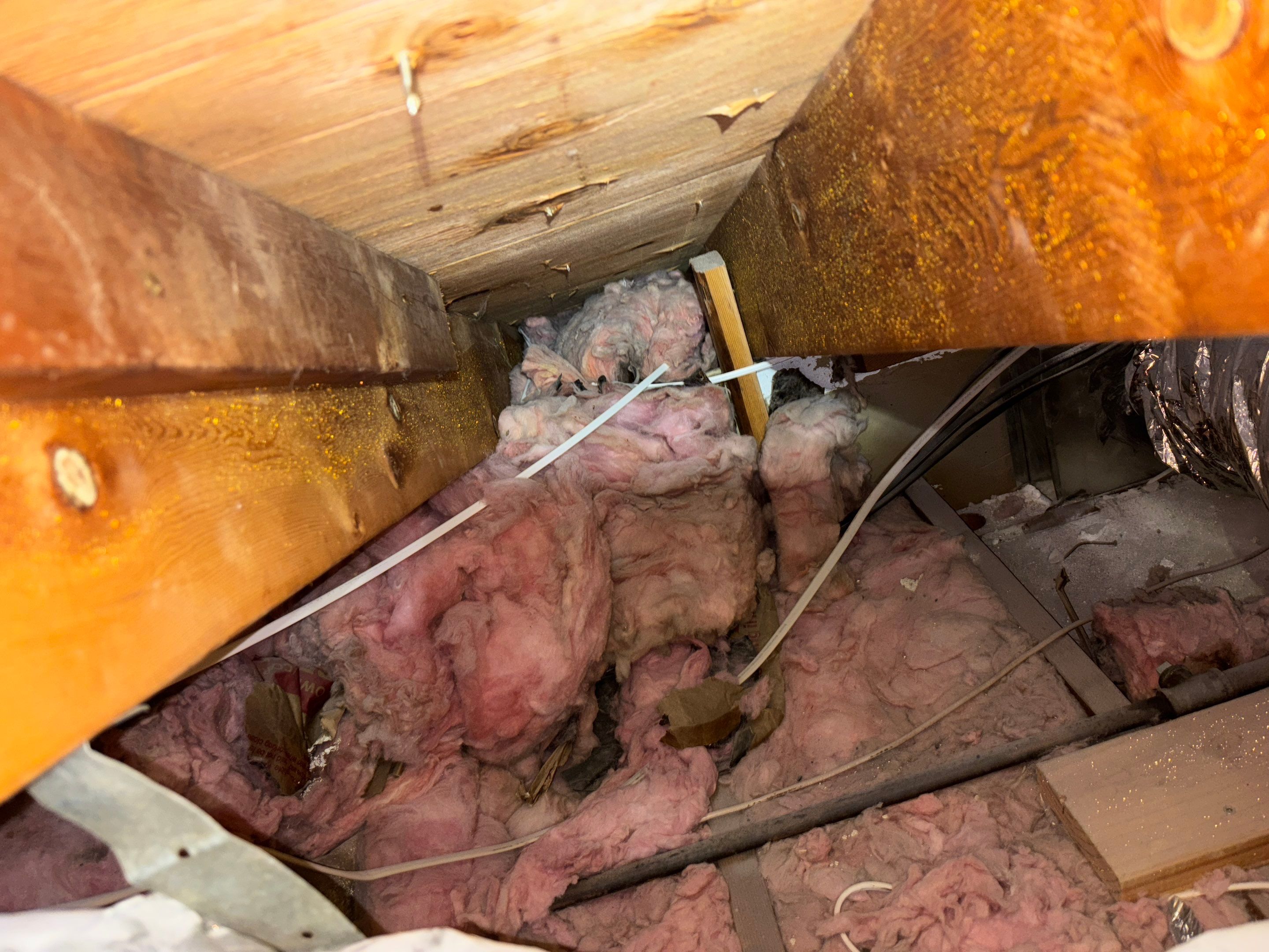 Project in Pacific Palisades by Insulation Labs