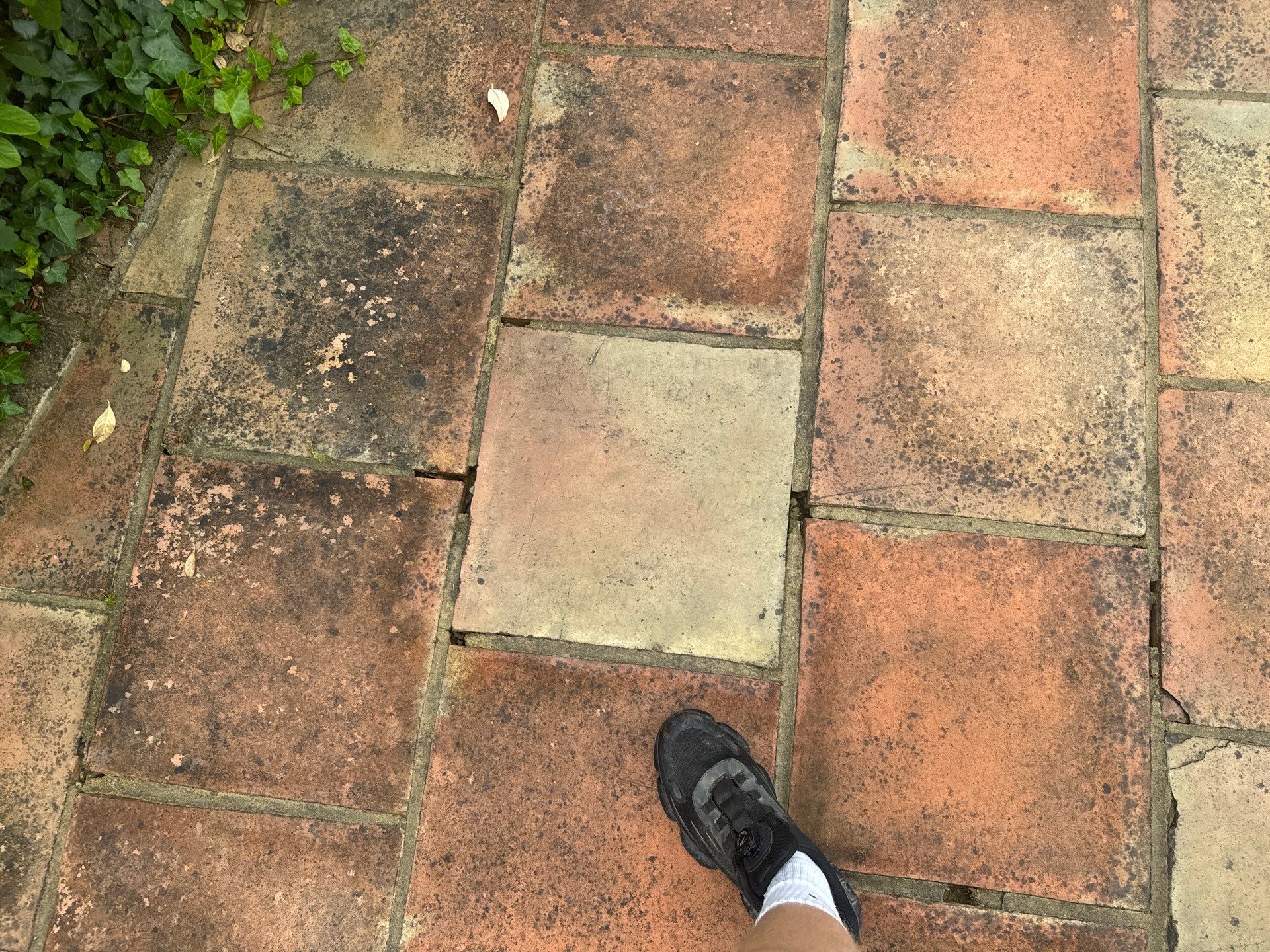 Roof and Patio Cleaning using Honda 15lpm Low Pressure Washing Machine by Ges Exterior Cleaning ltd