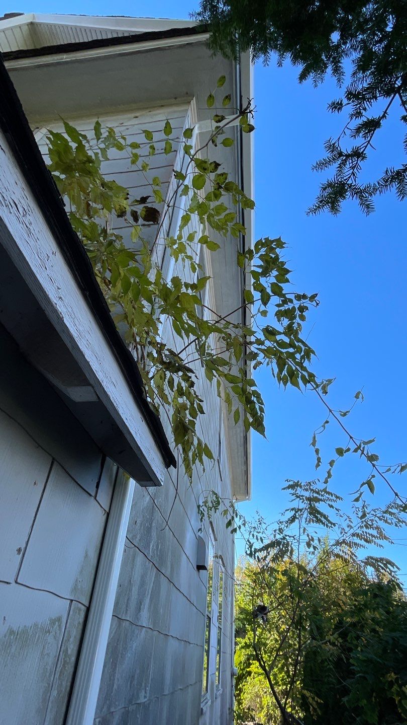 Full House Installation 5" white seamless gutters 2x3 leaders using 5"white K style seamless gutters and 2x3 white leaders by Above All Gutters 