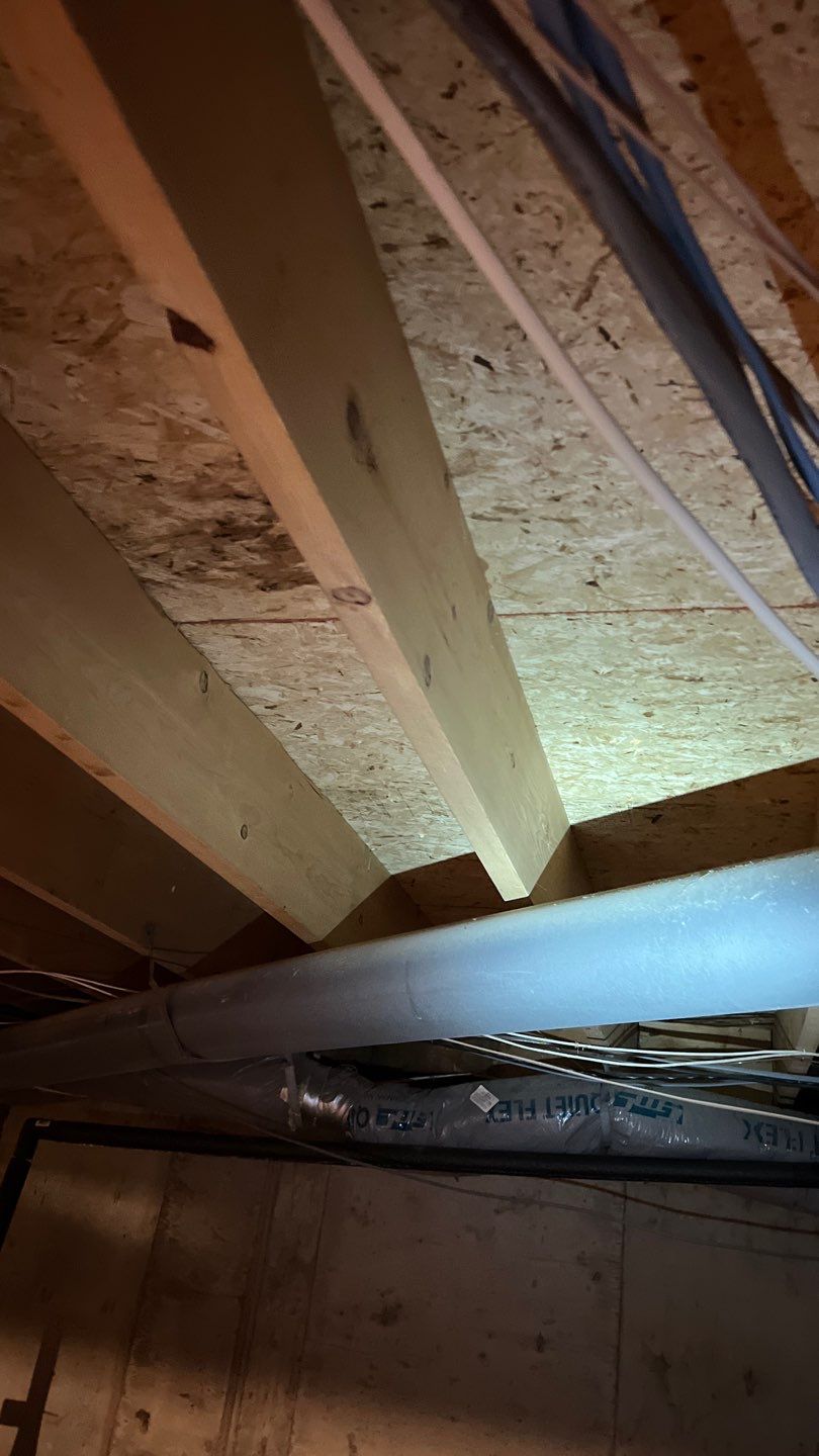 Mold Damage by Accountable Home Services