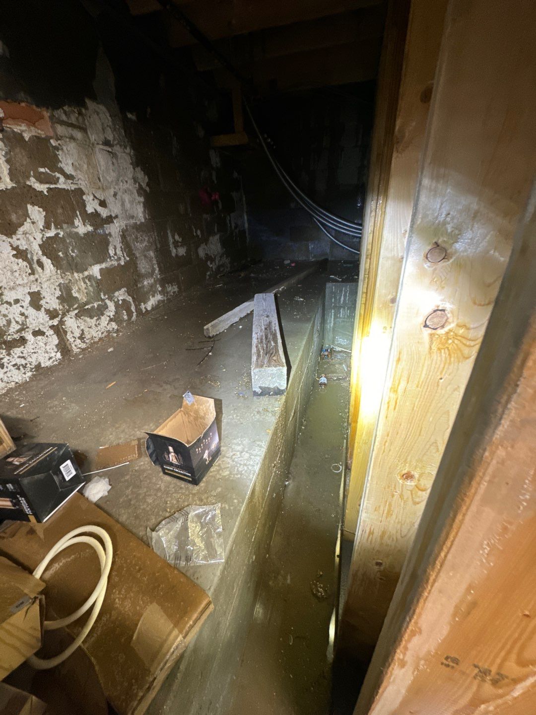 Project in Royal Oak by EzDry Water Mitigation & Property Restoration