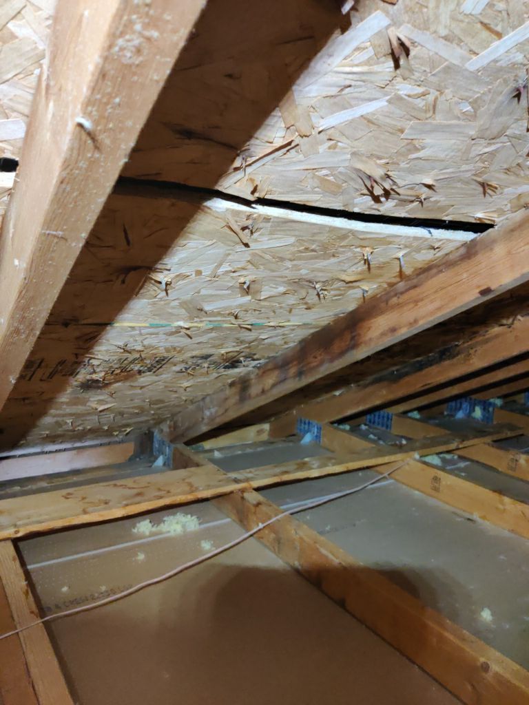 Mold Remediation Cleanup in Attic by Accountable Home Services