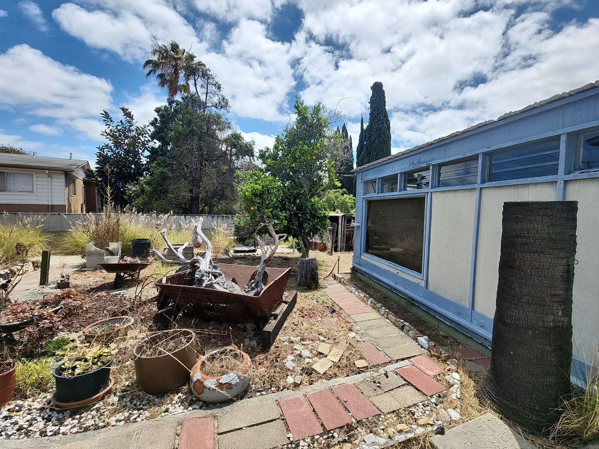 Residential Site Clearing and Landscape Clean Up in San Diego by Yard Techs