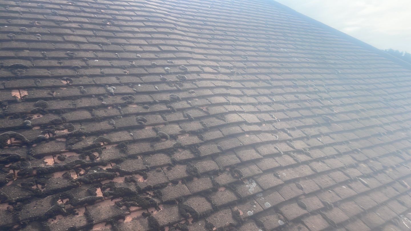 Roof Clean  - Moss Removal - Gutter Clean using Honda 15lpm Low Pressure Washing Machine by Ges Exterior Cleaning ltd