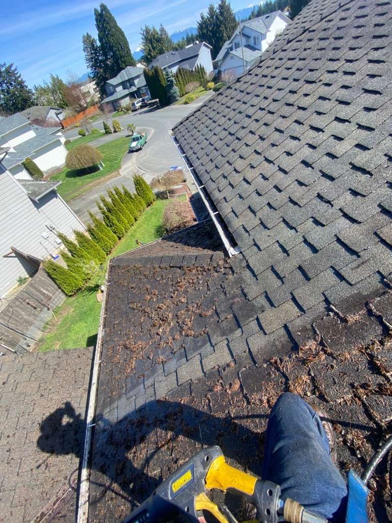 Roof Cleaning – Everett, WA by Everpro Construction