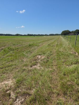 Project in Brooksville