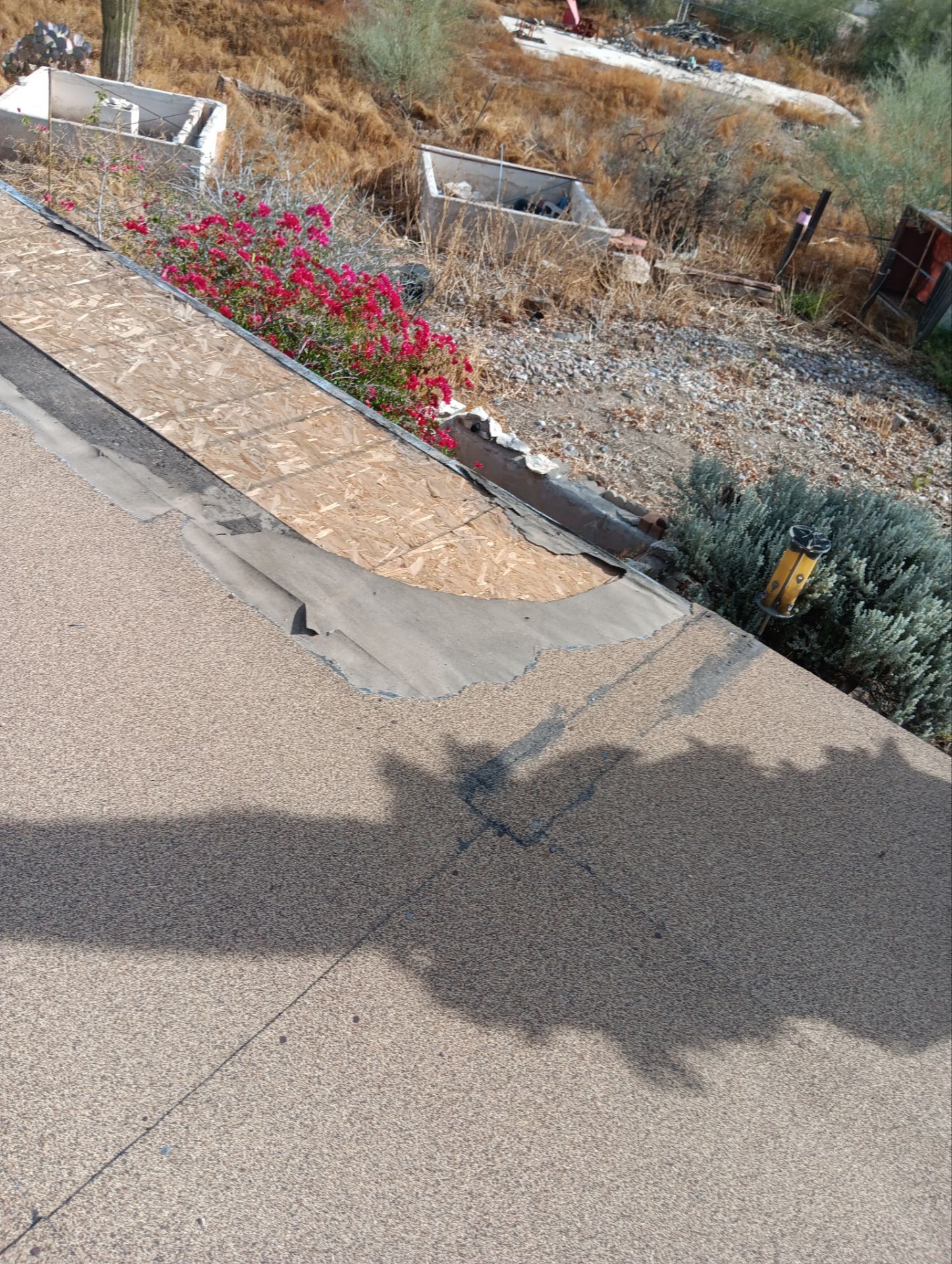 Desert Tan Shingles by Reimagine Roofing