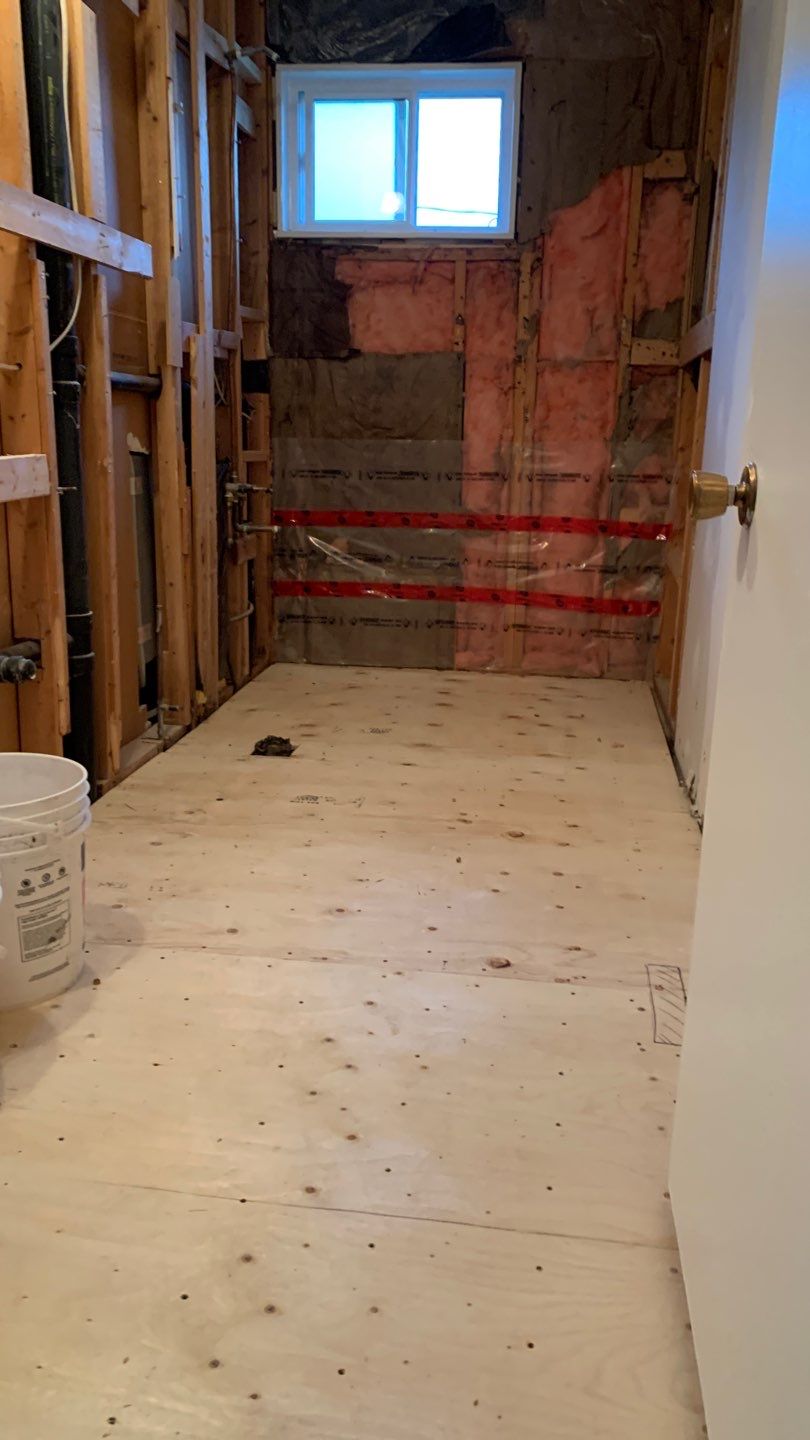 Full house renovation  by Eco-Nature Construction Inc.
