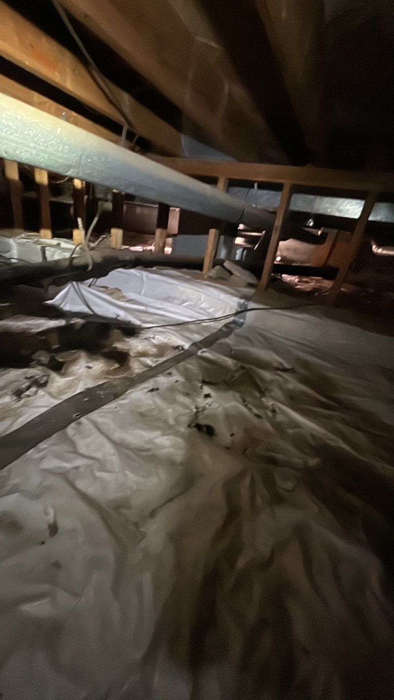 Sewage Backup by Accountable Home Services