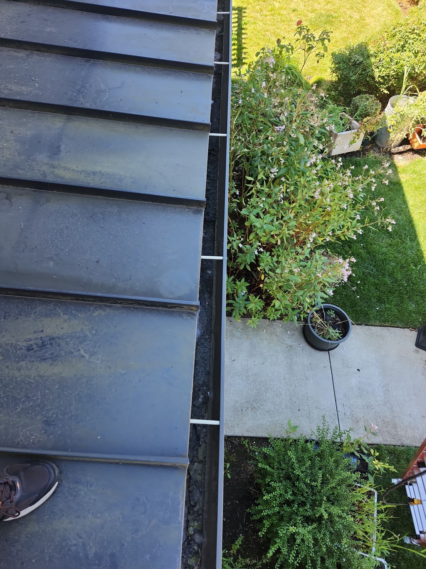 HOA gutter cleaning before photo