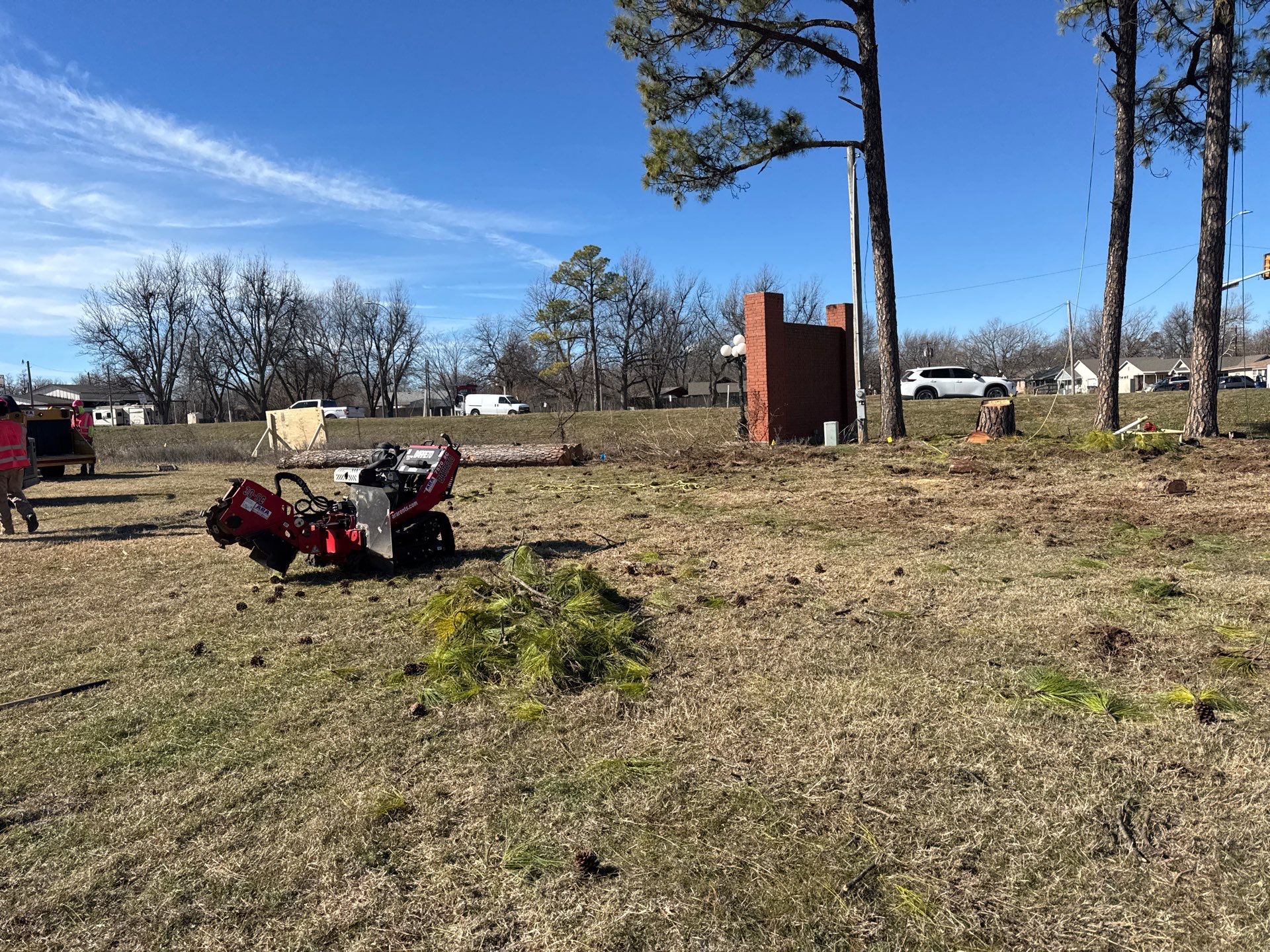 Pine Removals by Clays Services Inc