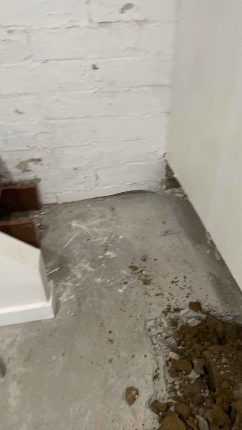 Sarena's New Home by Waterproofing Northeast