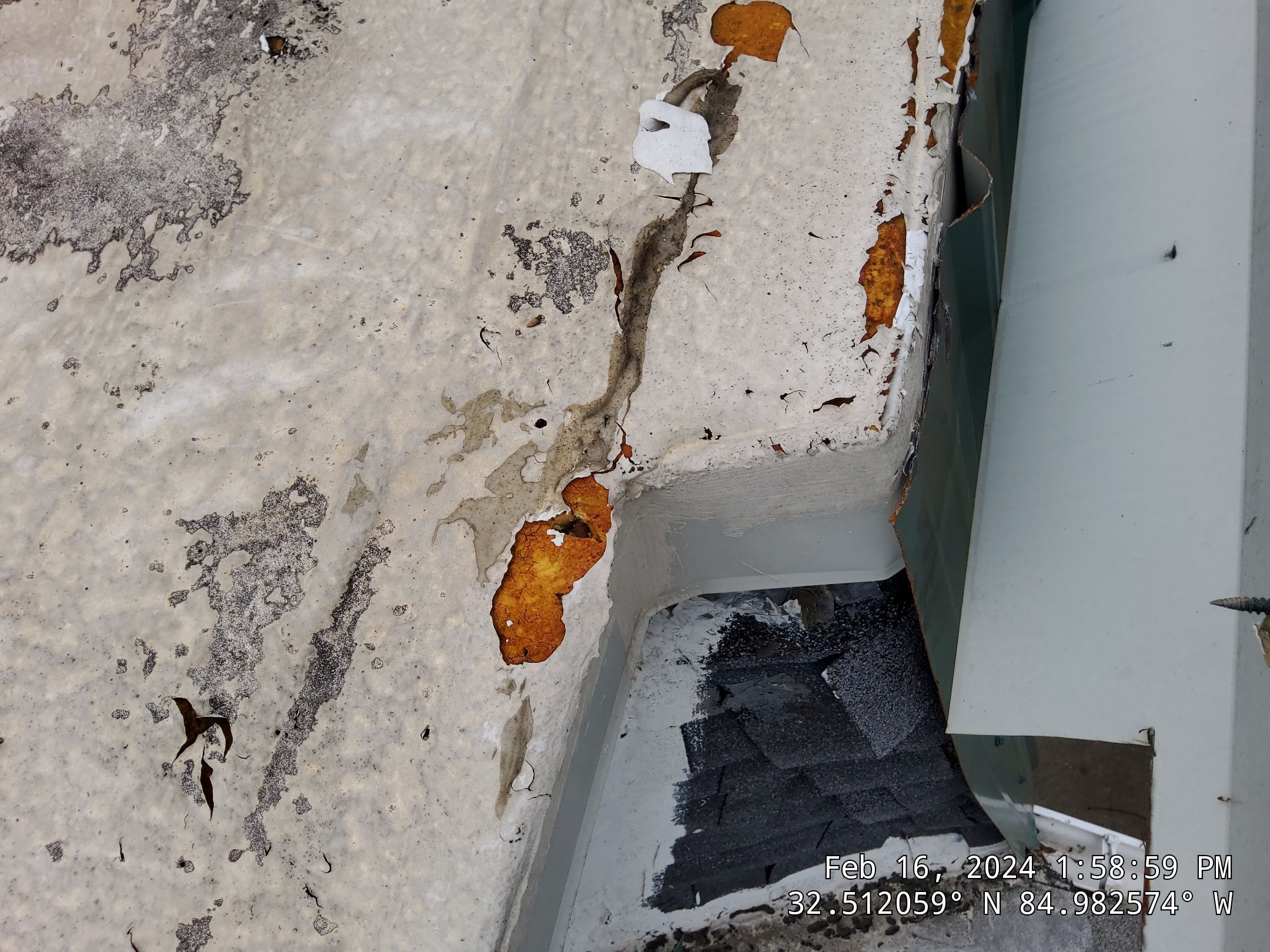 Master Clean Roof and Gutter Cleaning by iGreen Solutions