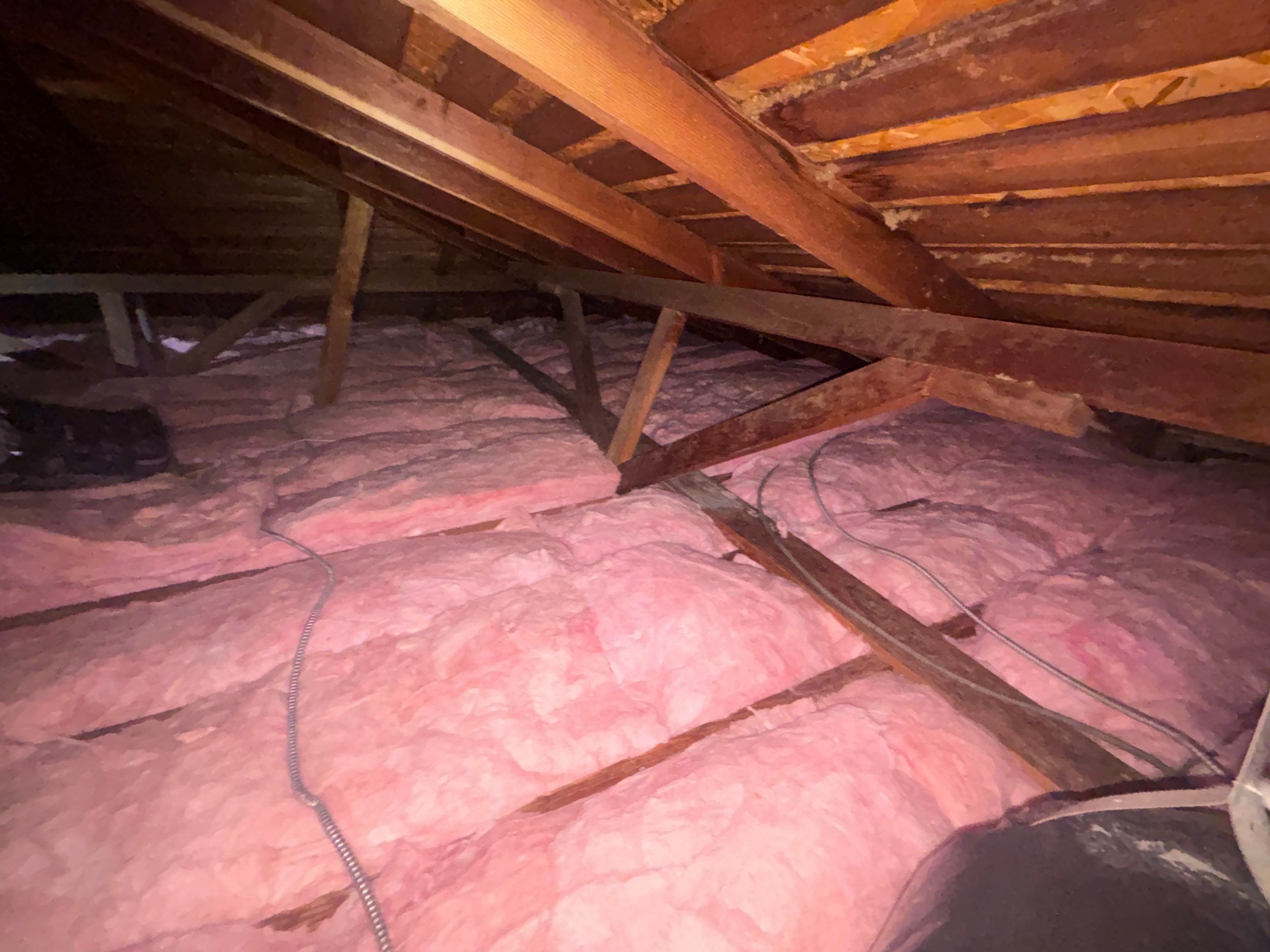 Project in Los Angeles by Insulation Labs