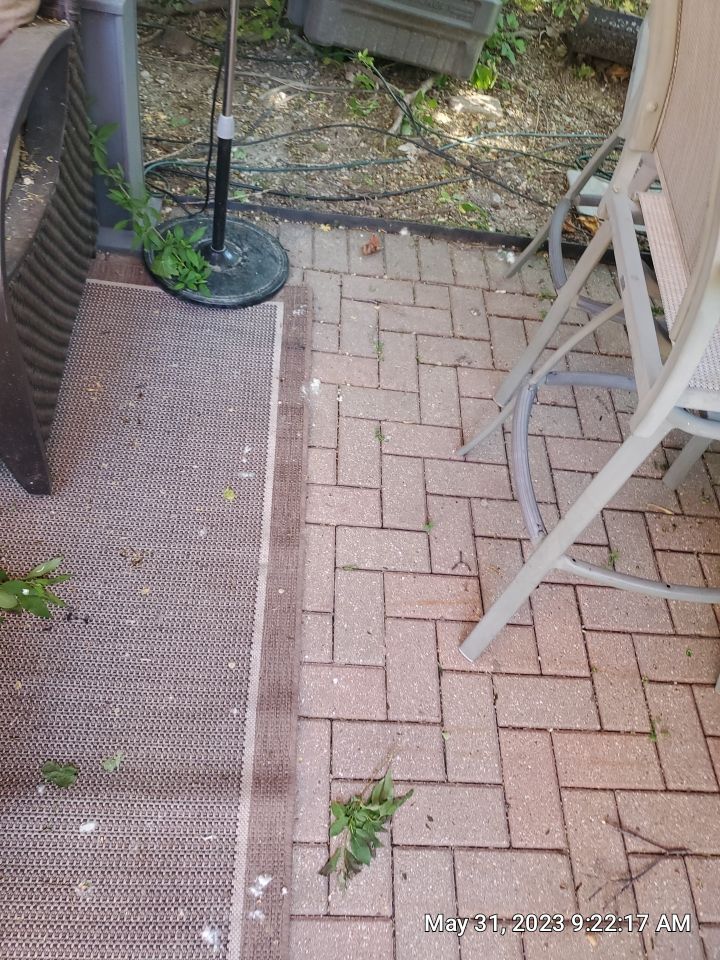 Brick paver clean, sand and seal. using Surebond SB-1300 by Northern Power Washing LLC.