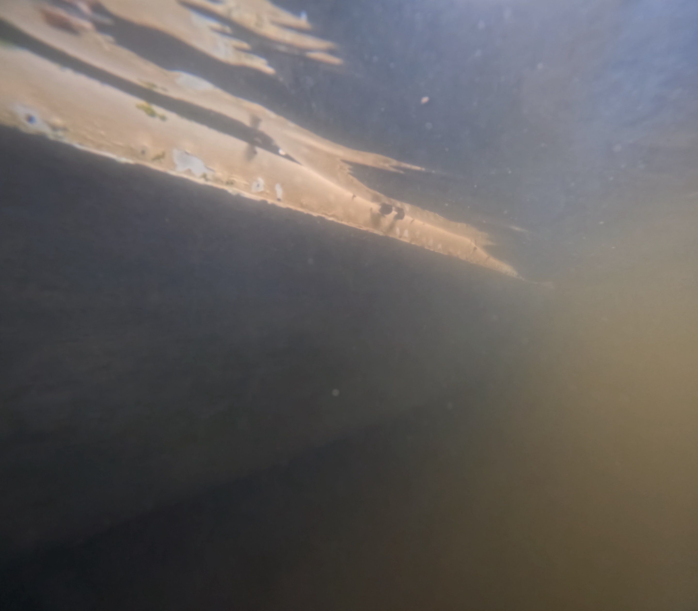 Project in North Fort Myers, FL by Florida Hull Cleaning 