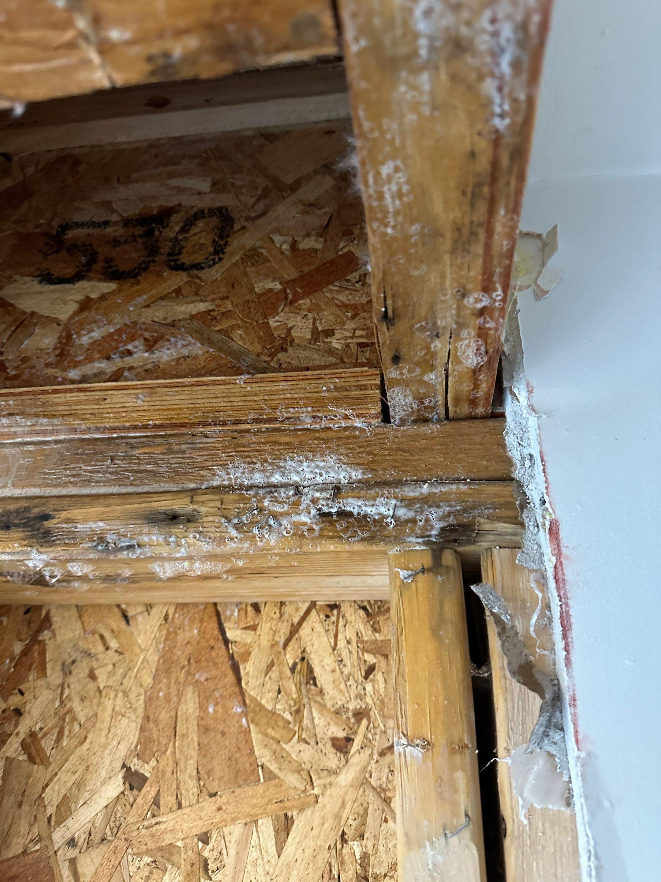 Water Damage in Denver, CO by Alpha Restoration 