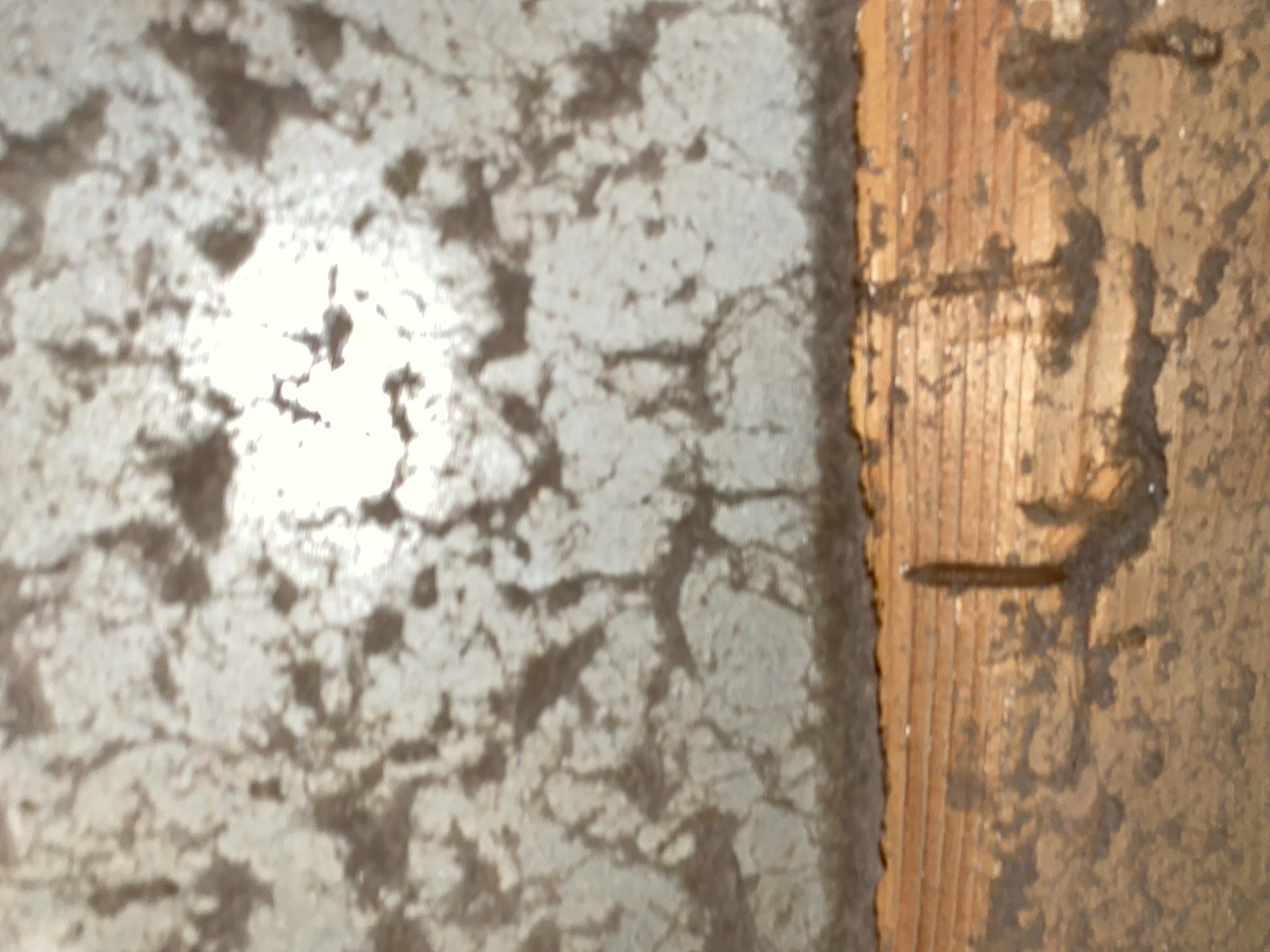 Duct Cleaning and Dryer Vent Cleaning by Pro Sky Services