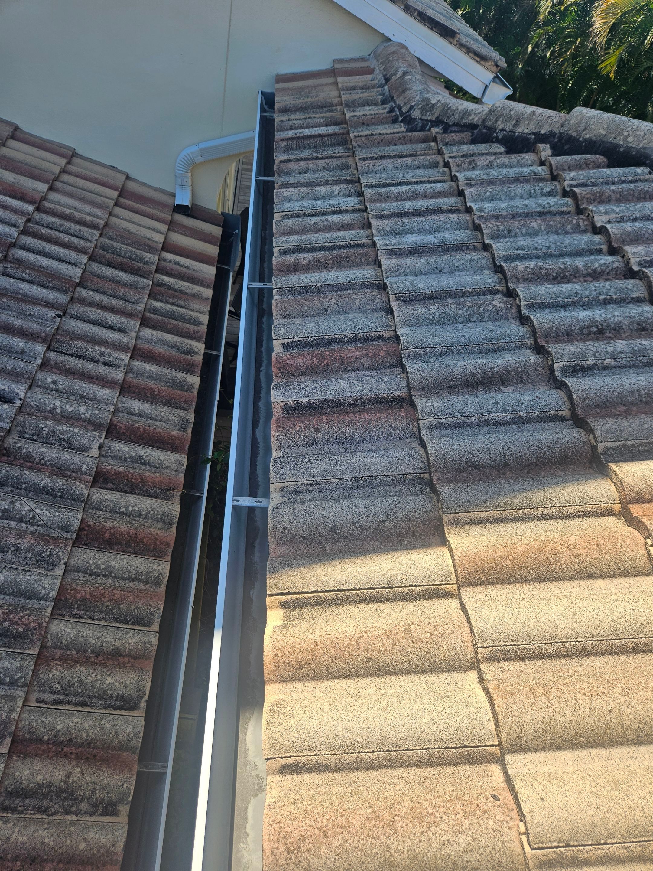 Gutter Cleaning in Sarasota FL by Gutter Professors