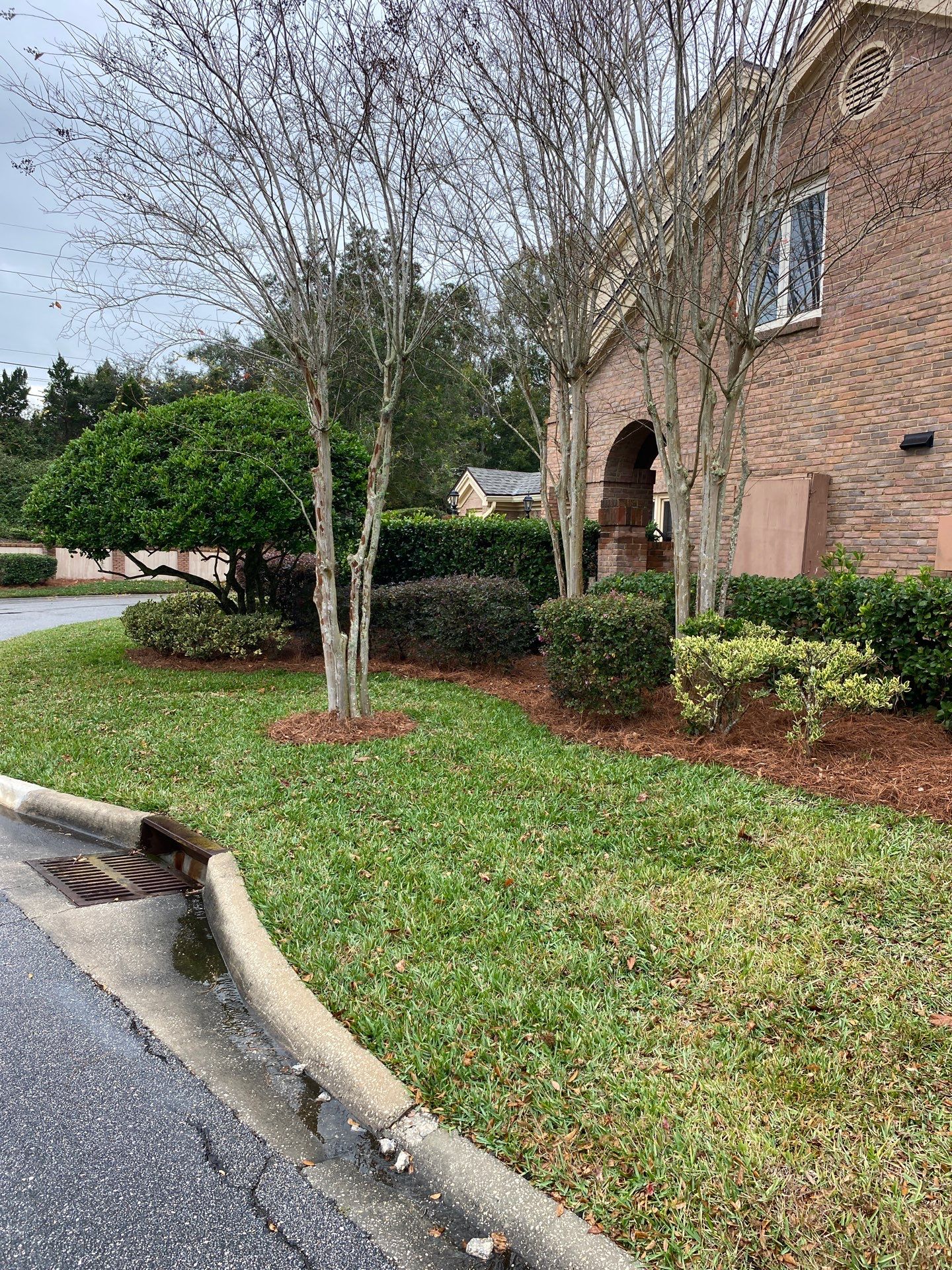 Deerwood Pointe | Tree Removal & Pine Straw Installation by ProGreen Services