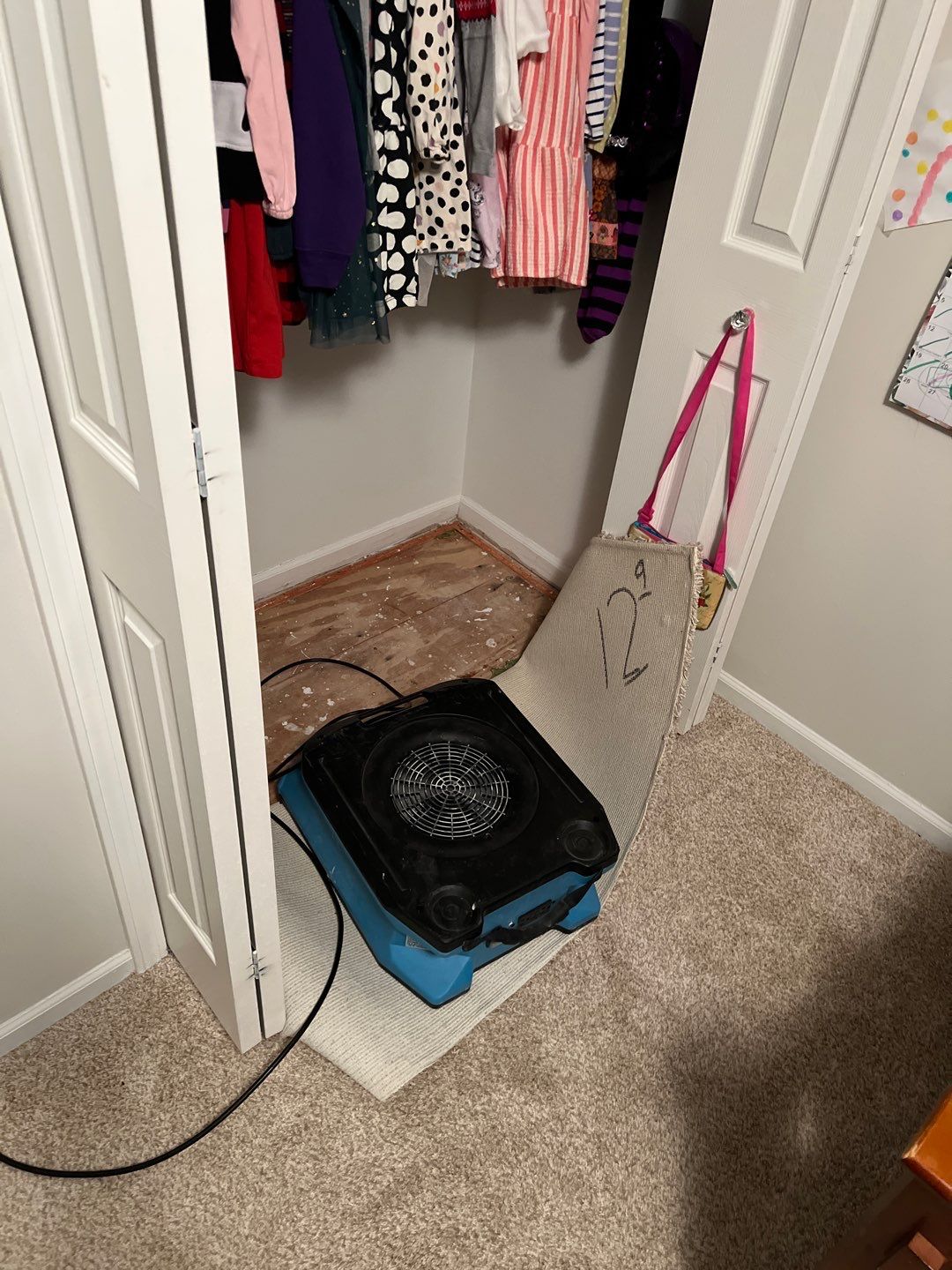 Project in Brighton by EzDry Water Mitigation & Property Restoration