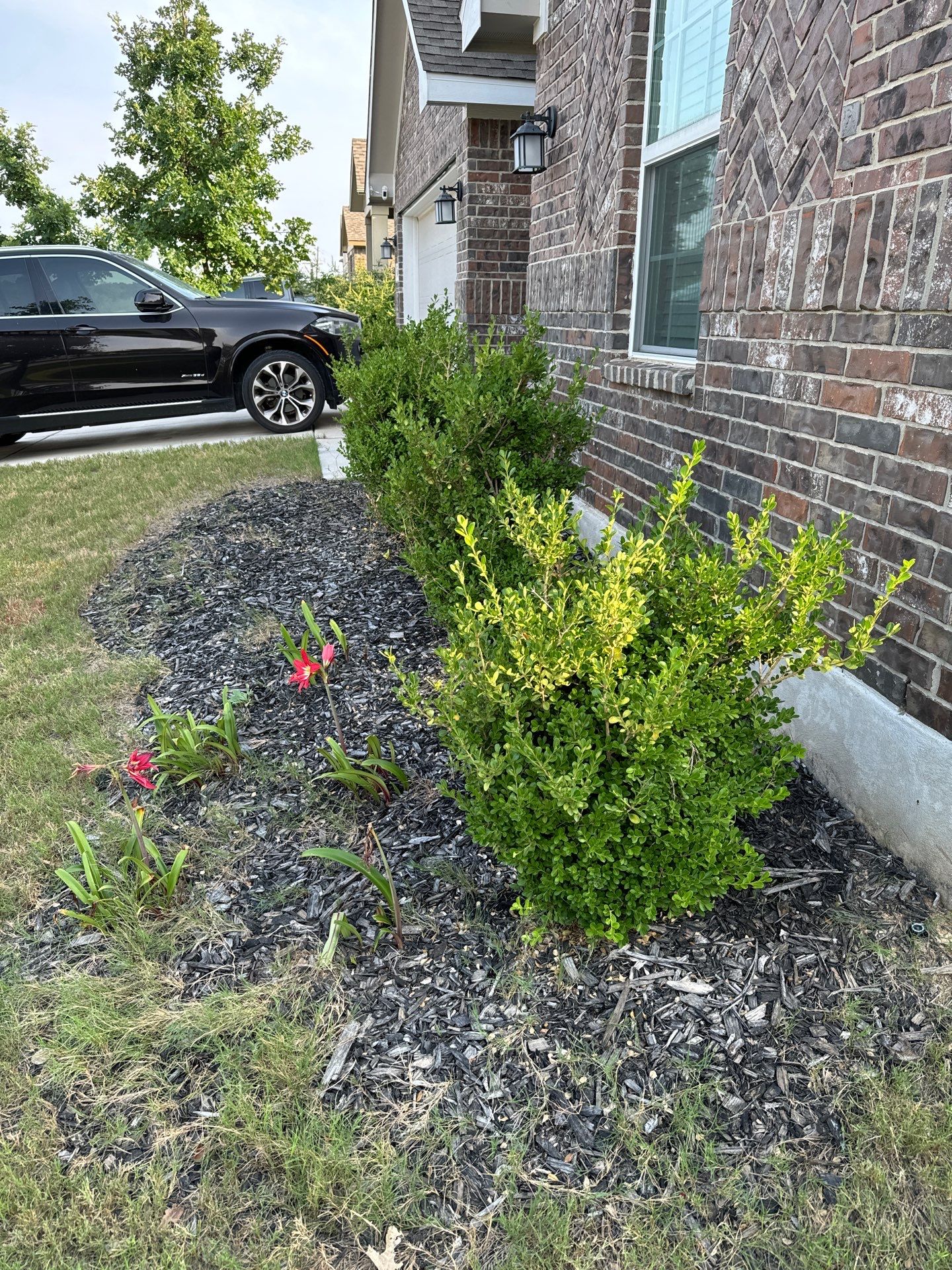 Wortham Oaks - San Antonio, TX by Hole In One Lawns, LLC