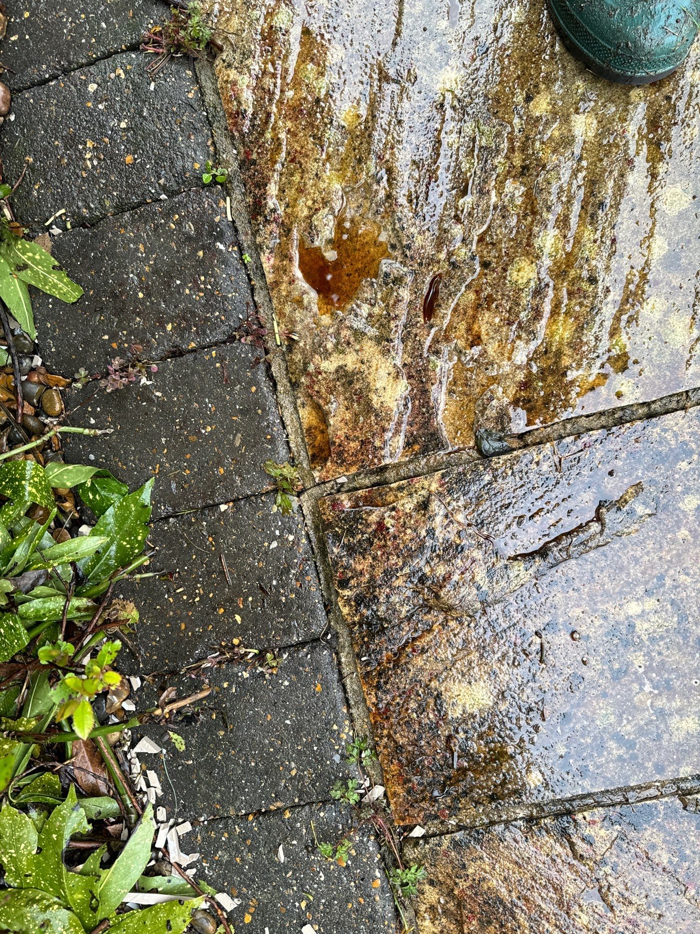 Exterior Clean - Roof - Patio - Driveway using honda 21 ltr/min by Ges Exterior Cleaning ltd