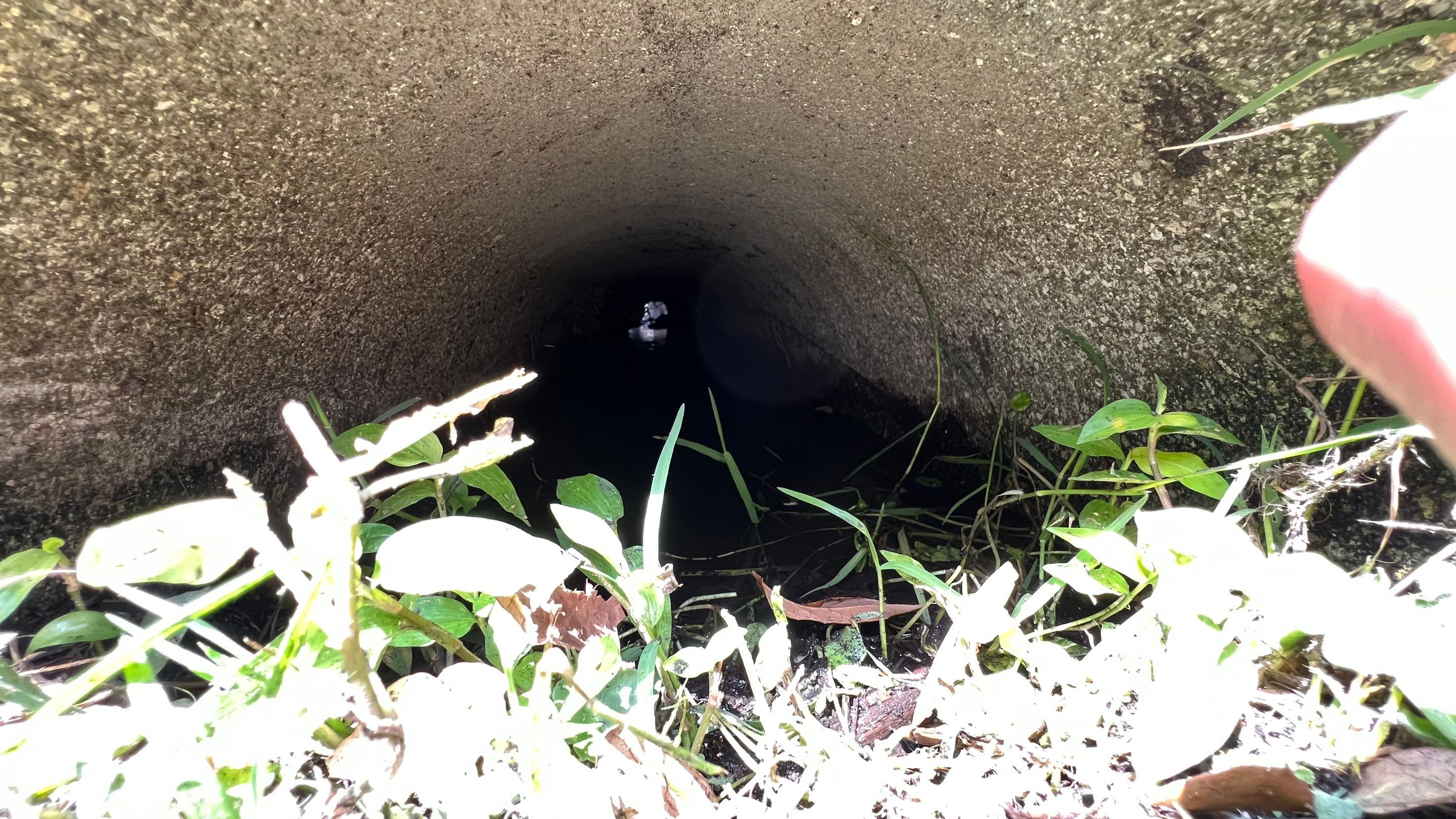 Estero Community Stormwater System Maintenance by APS Power & Water