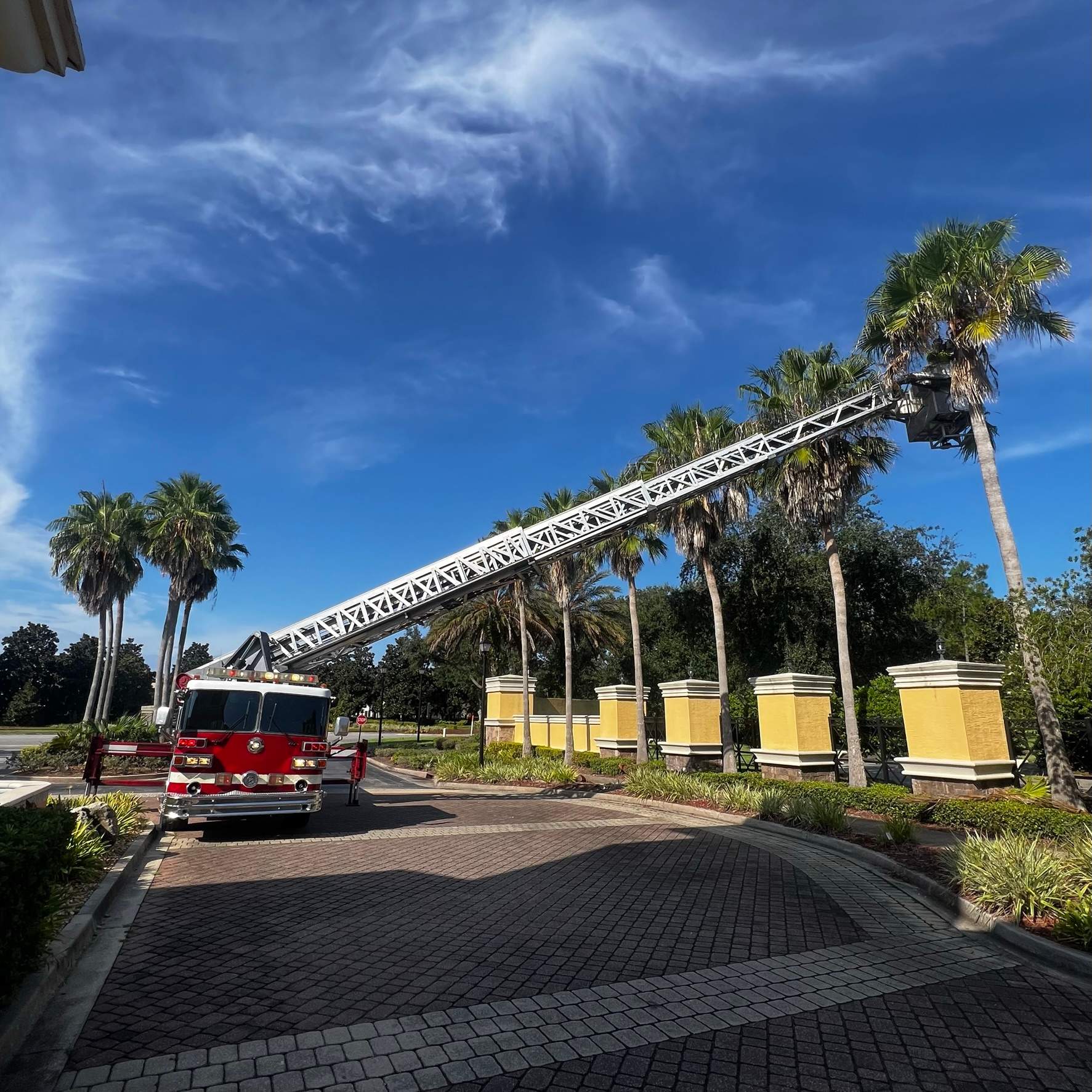 Palm Tree Trimming | IL Villagio Condominiums by ProGreen Services
