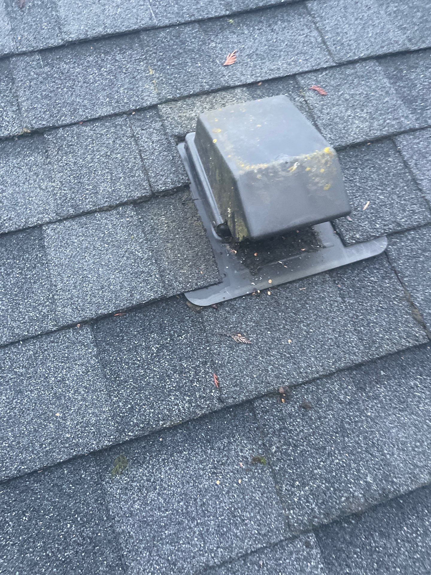 Roof Repair Project in Burien by Fred Meyer Roofing