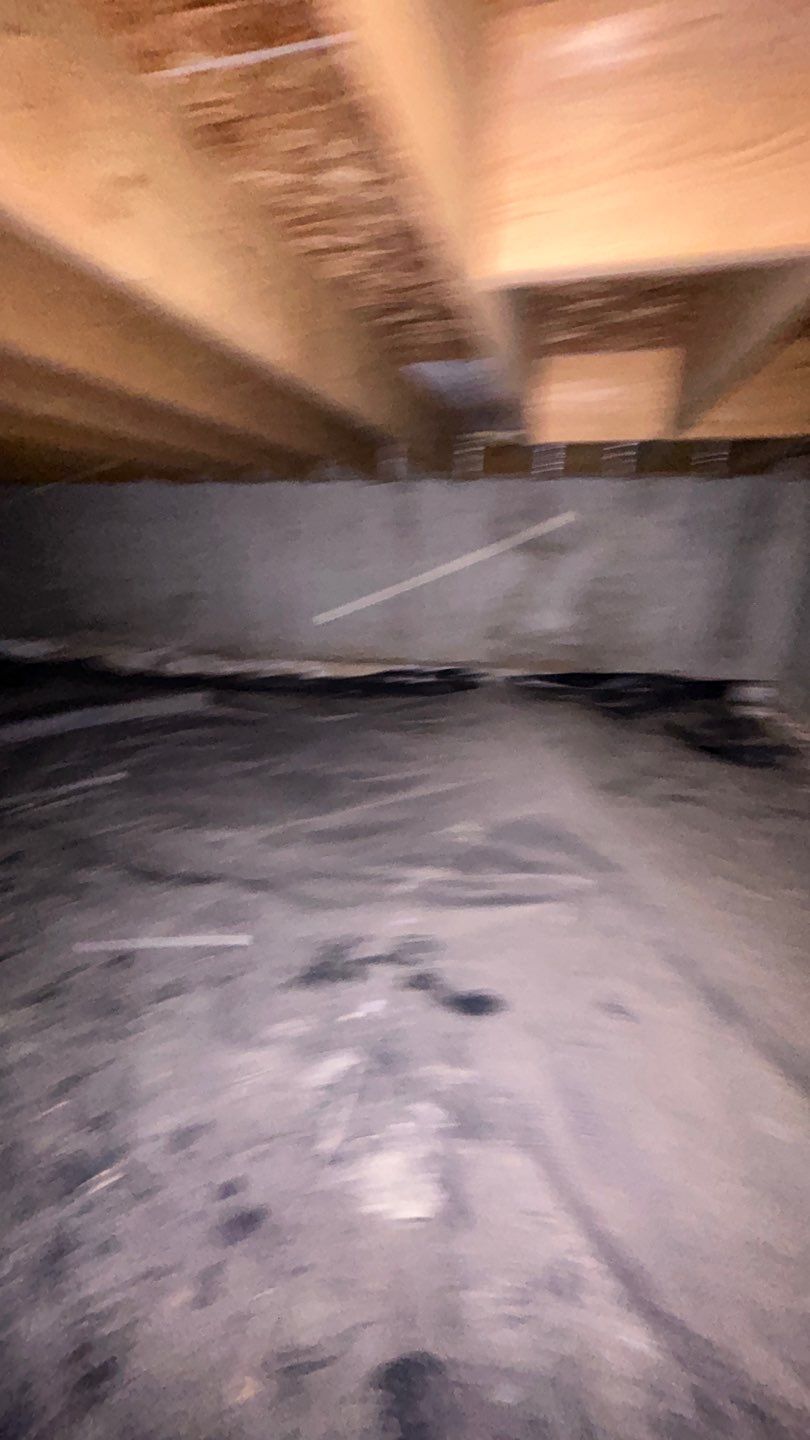 Mold Damage by Accountable Home Services