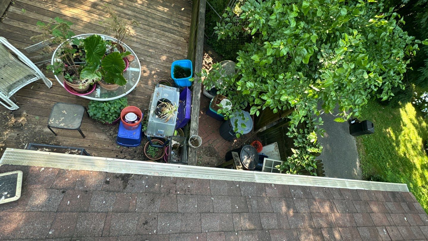 Very overdue gutter cleaning and screening by Above All Gutters 