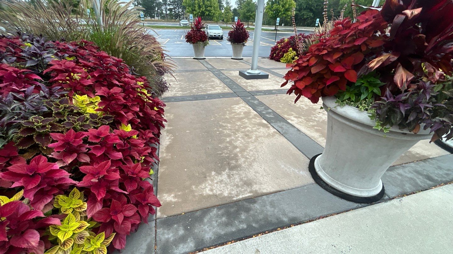 Commercial Concrete Surface Cleaning by Northern Power Washing LLC.