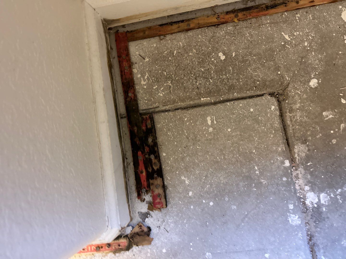 Mold Damage Project in Thornton by Accountable Home Services