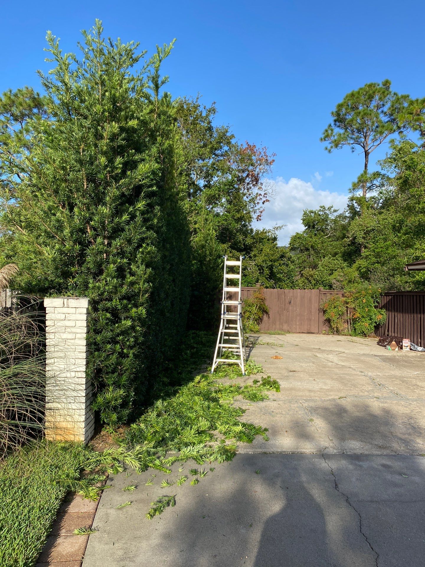 Deerwood Residence | Extreme Clean Up by ProGreen Services